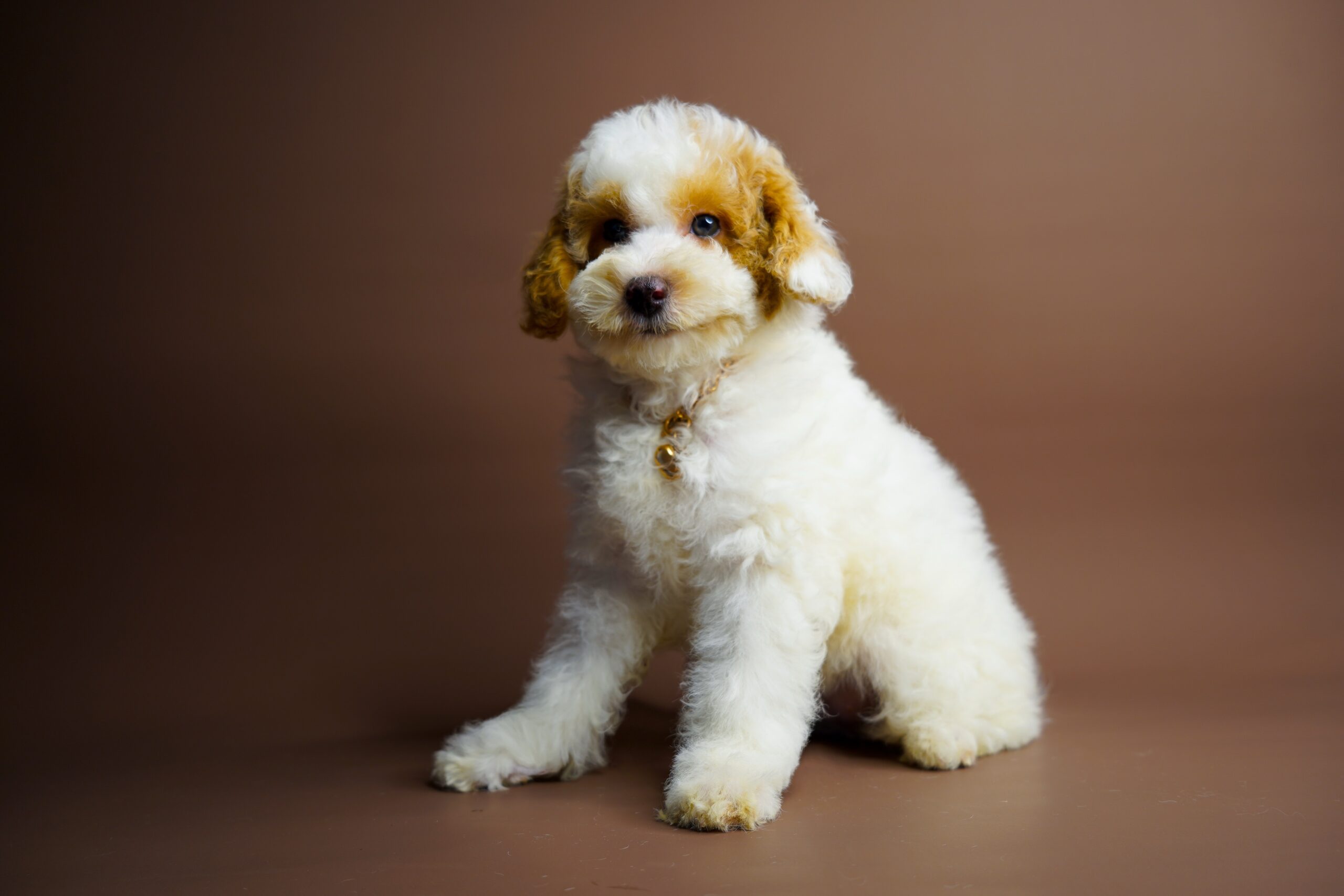 5CE2AAE6-8717-4622-BC6C-8134A466A1D6