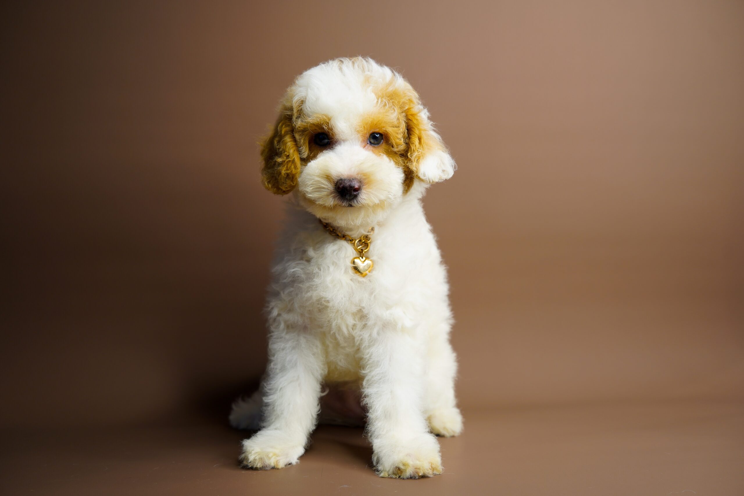 83EB8787-BCE9-4F49-971A-A4A9393095E3