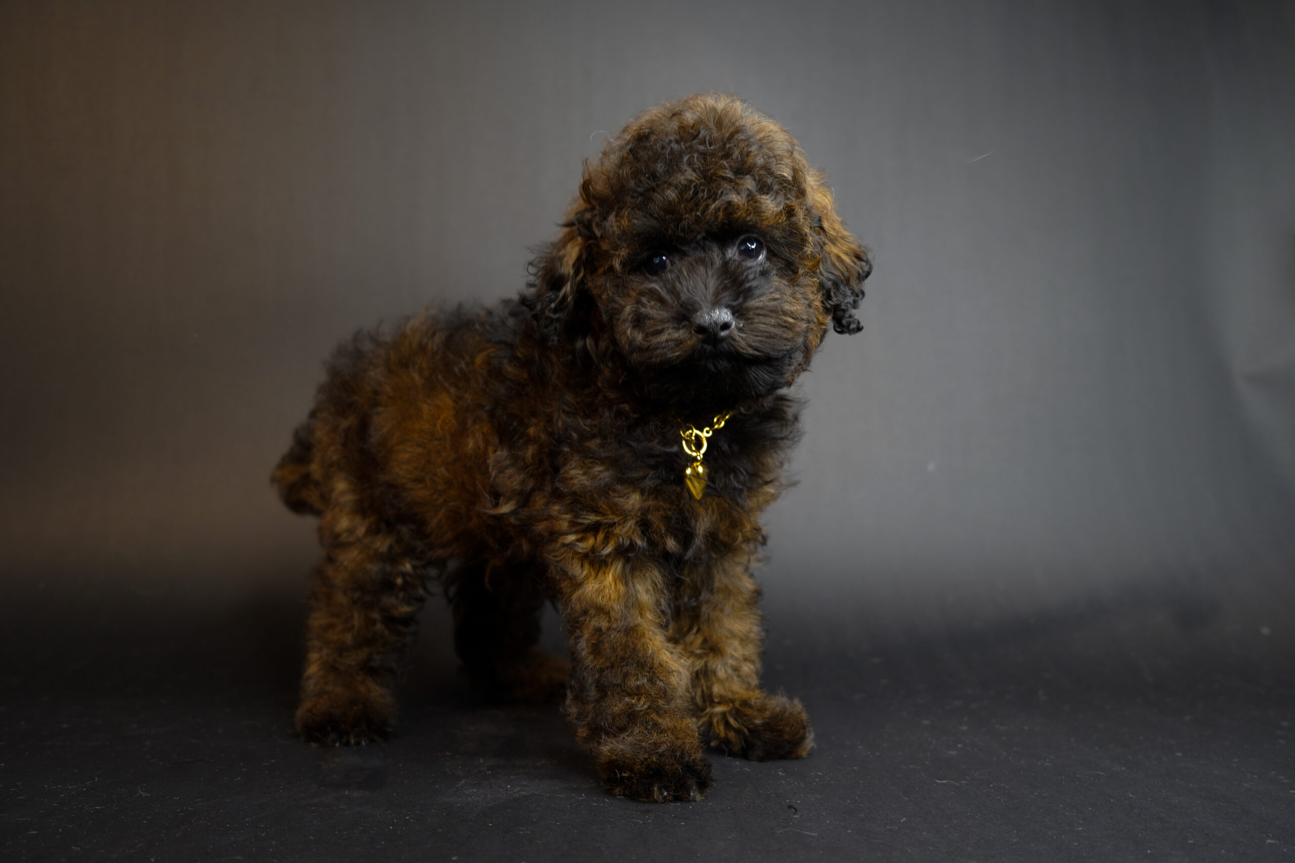 223E4BC8-81F4-4449-B479-12C1C72C6C31