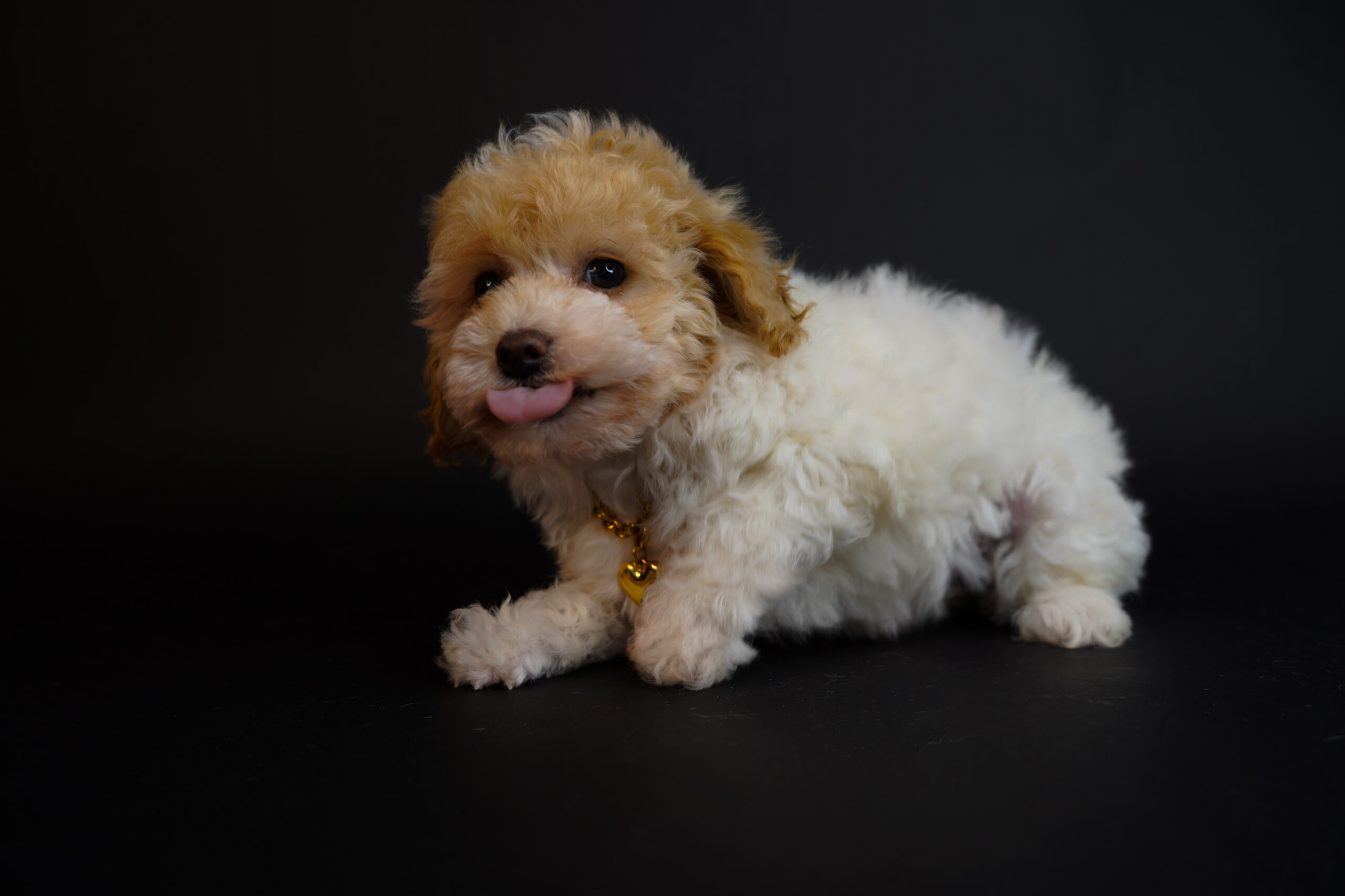 322A69F4-CE7B-4016-B362-B7077FEB65A4