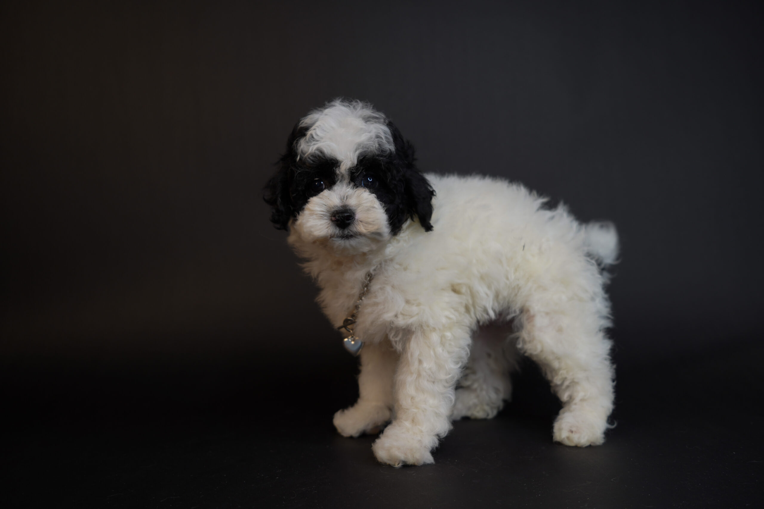 35857E63-FA0F-4EC3-9405-96D7AE3C71B1