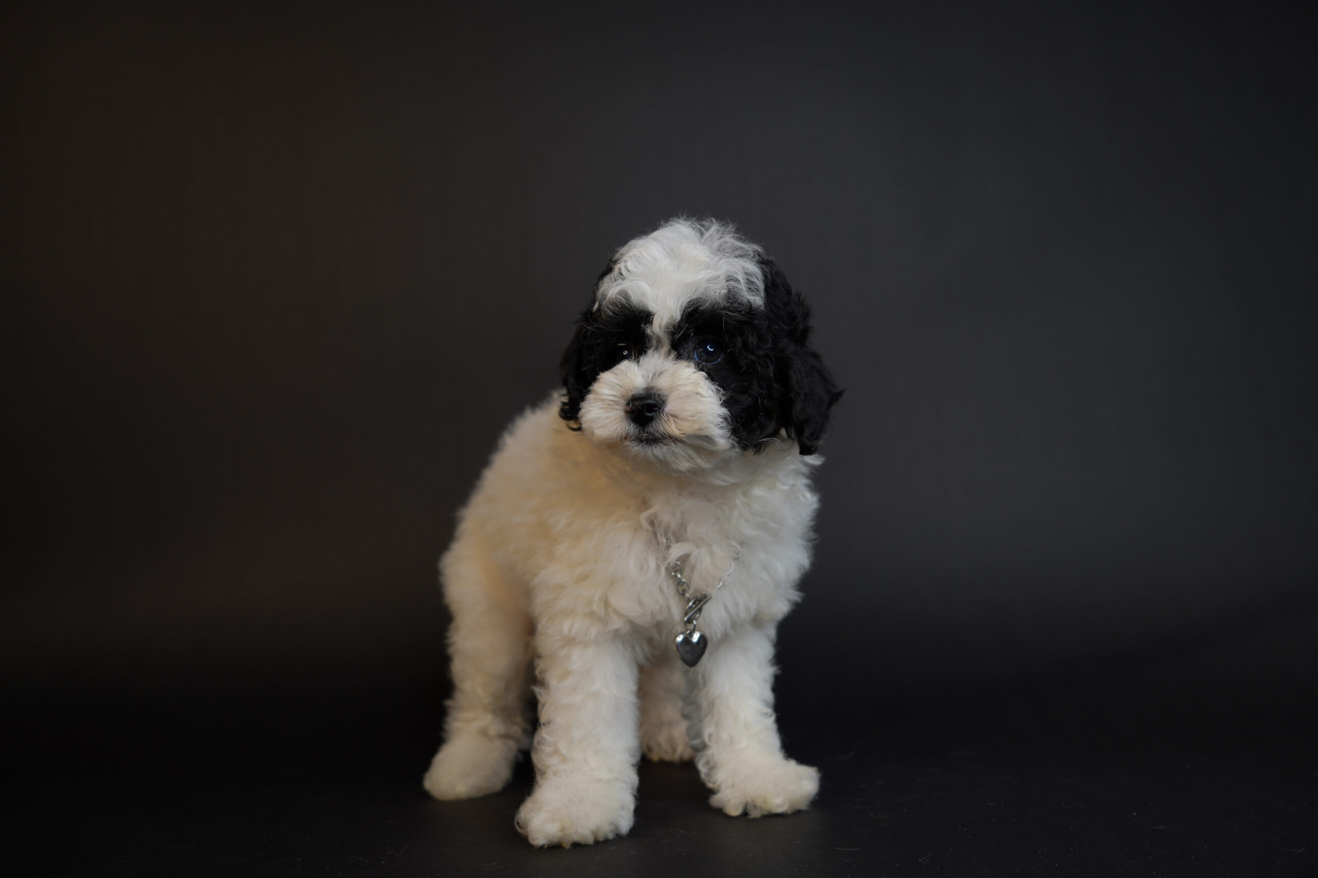 3B5DB393-557C-418A-B8E4-B06B0D1D5AD5