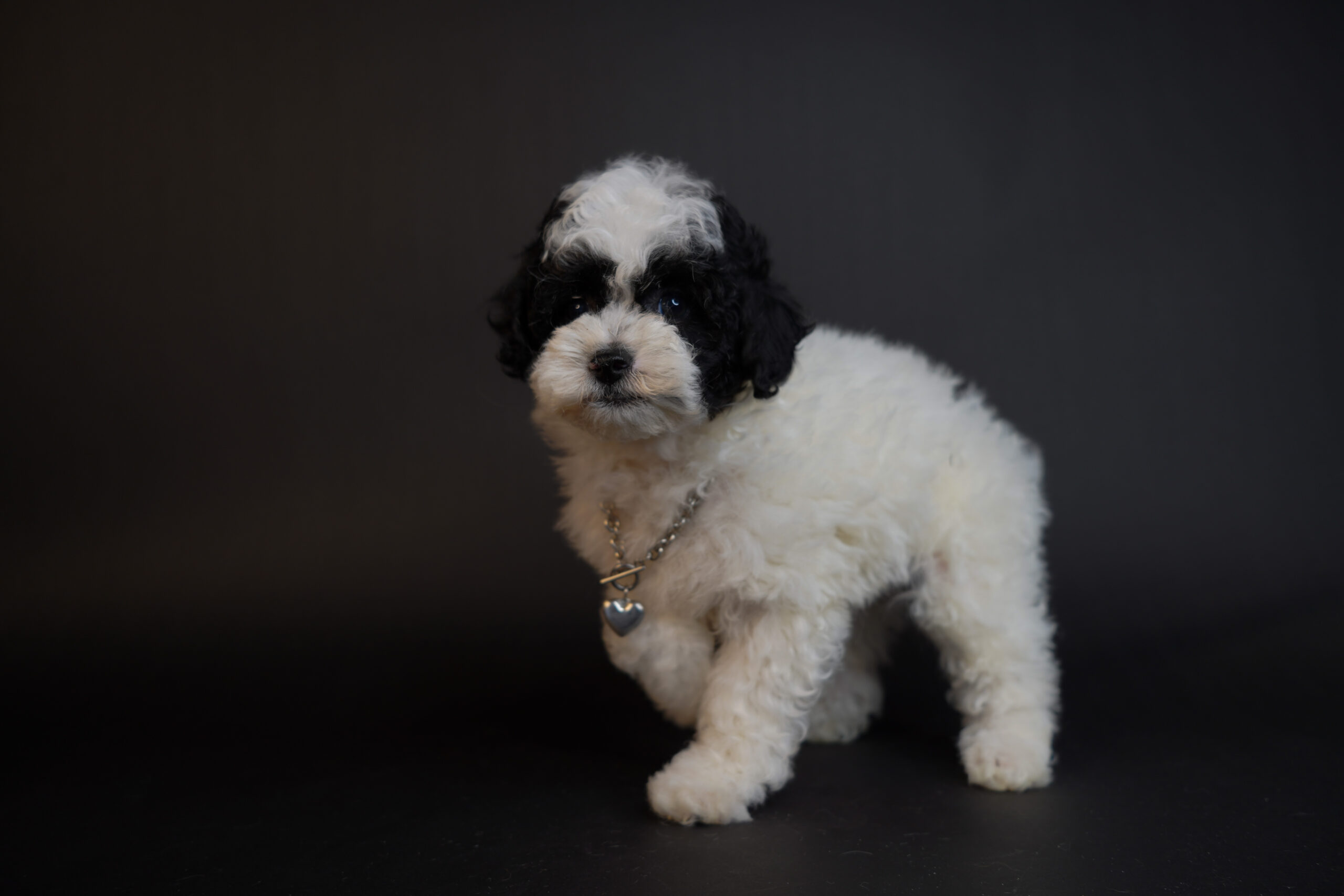 5A048D38-5FDC-42C4-B2A1-A913A9CABB9B