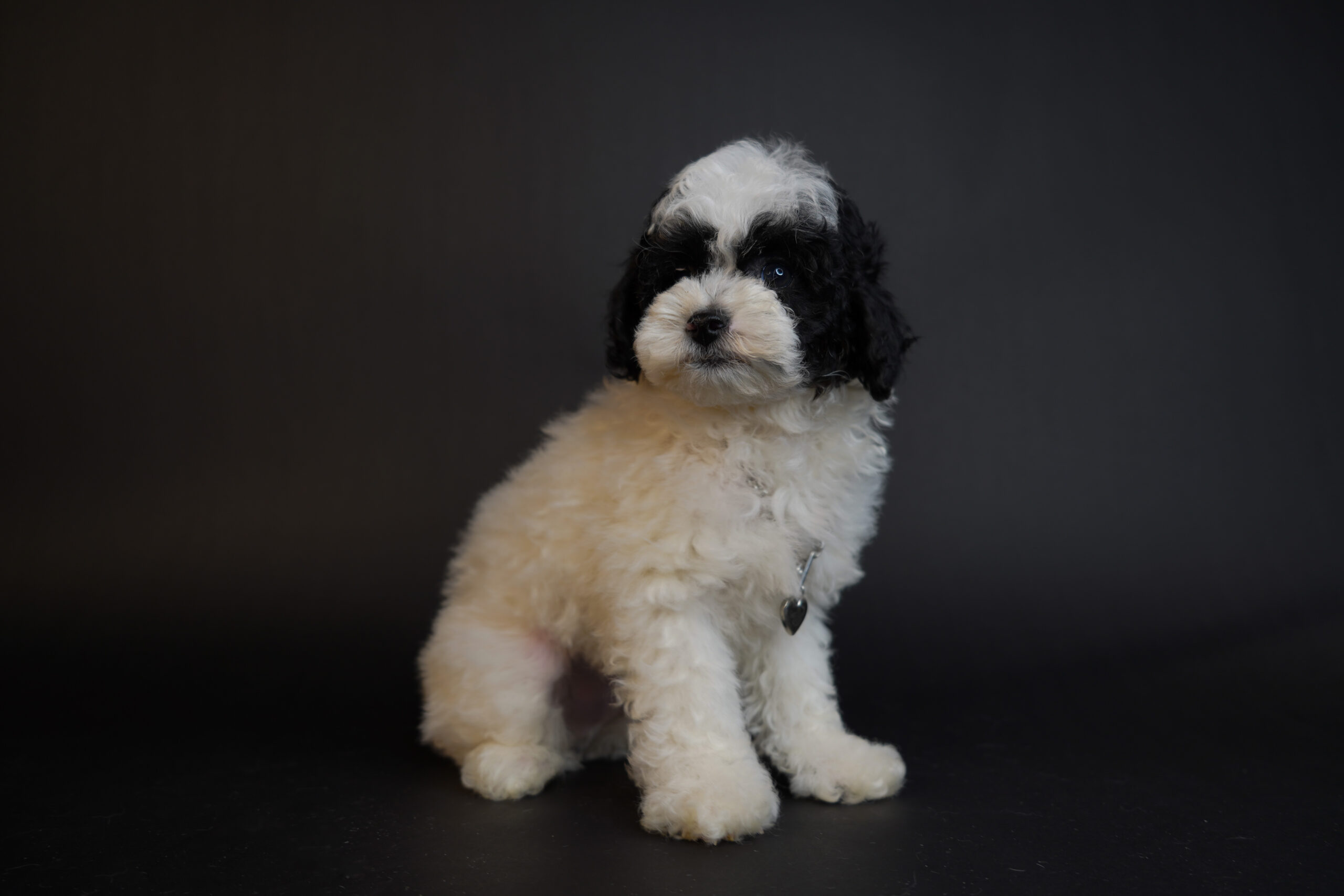 61C577F1-5A1C-401E-B93E-29C6419A513D