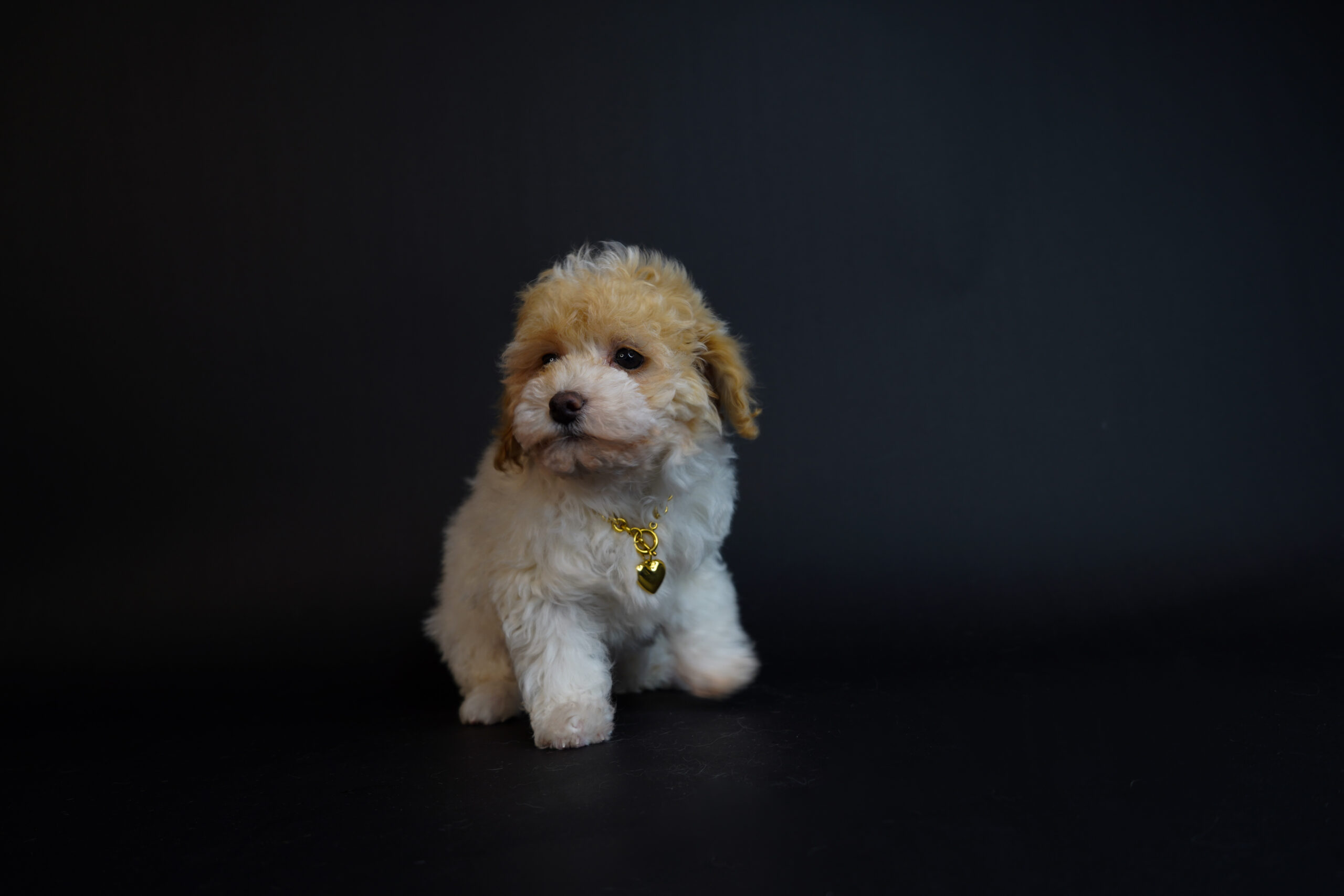 671DF588-DC03-4D03-8589-7C17D9805A66