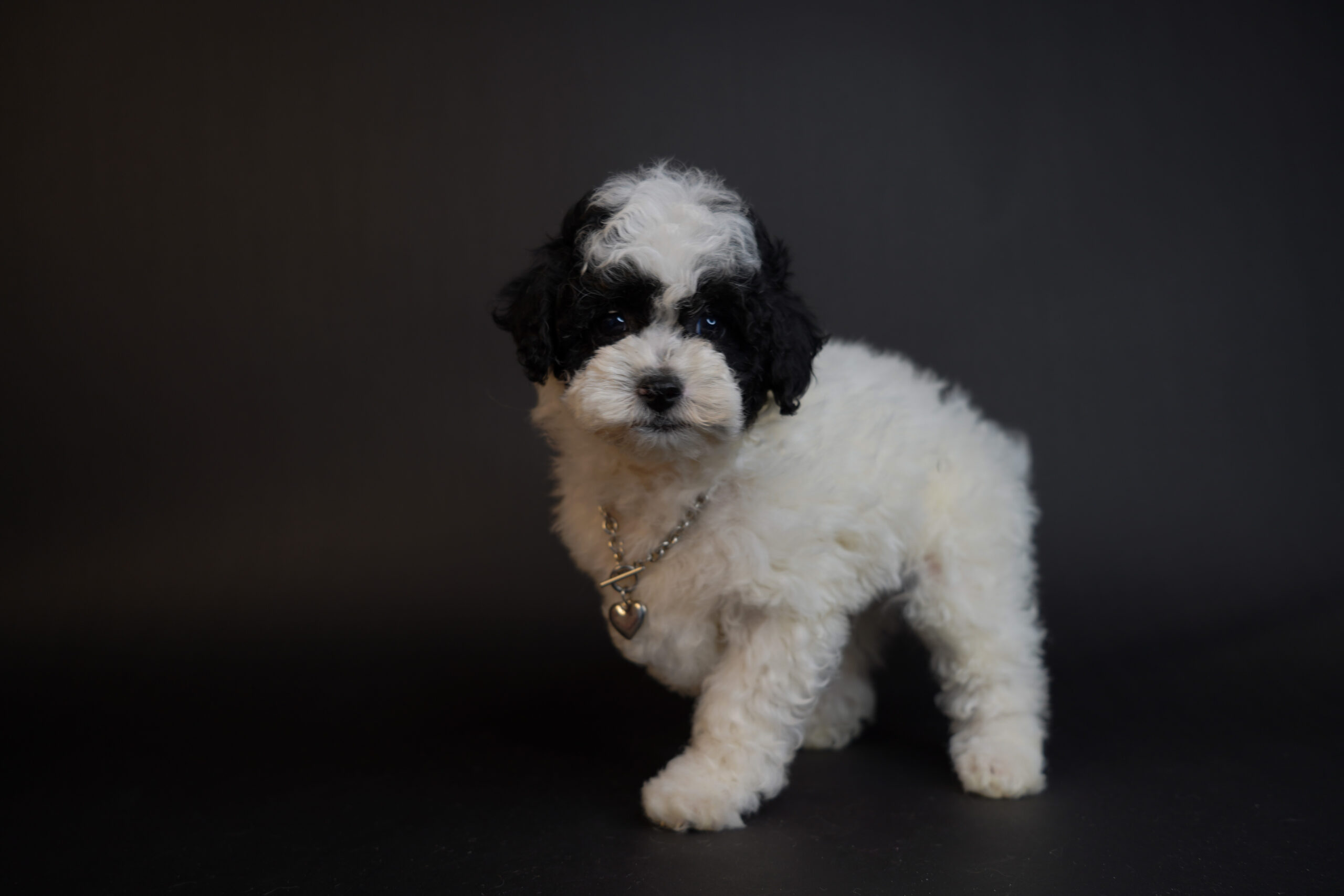 8A02B586-058B-4D23-AAF7-52C614F4888A