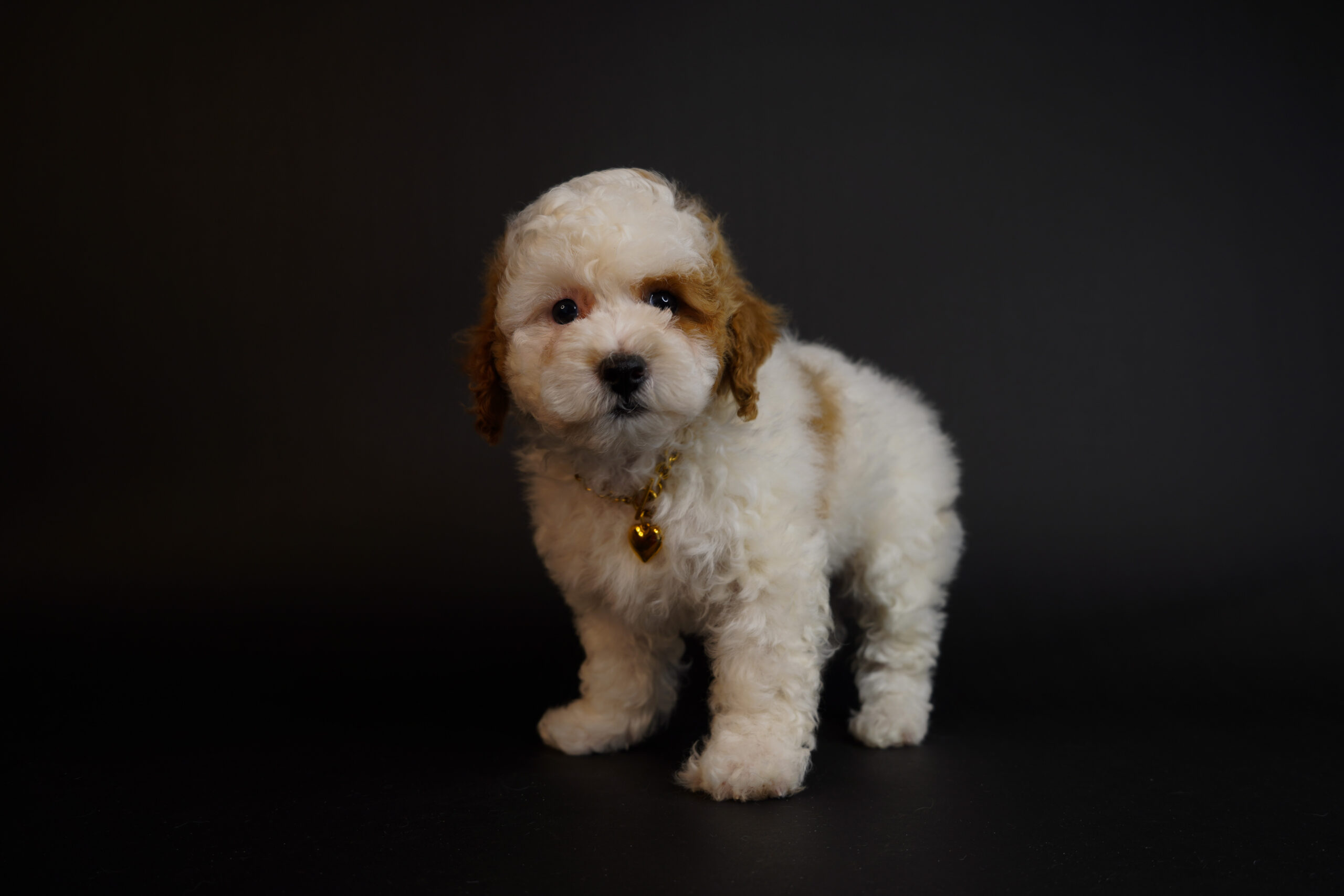 99E465F7-7CCB-4085-92B8-CE461F19E991