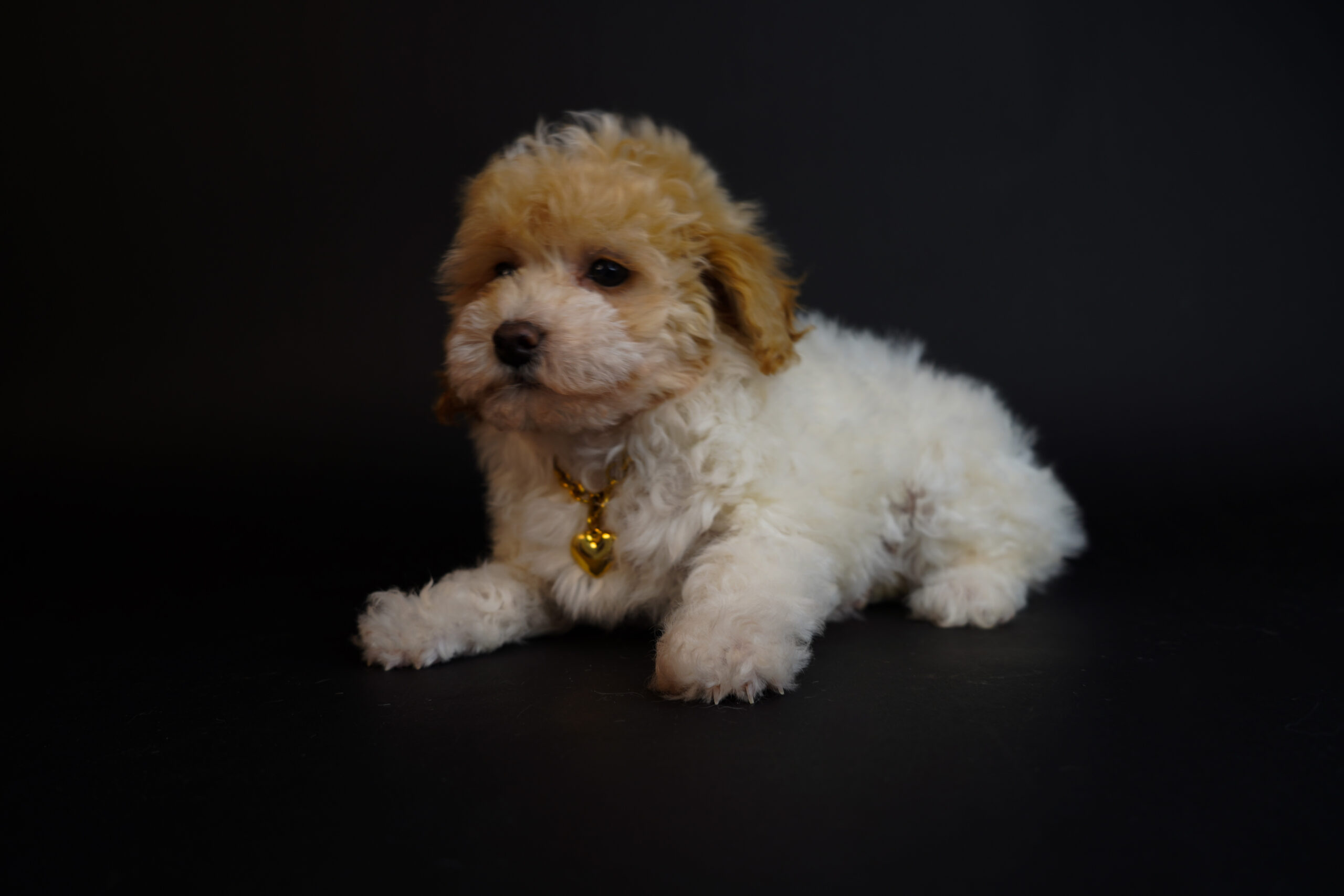 9B0A6C93-873A-4696-8CA4-094DC4AAF688