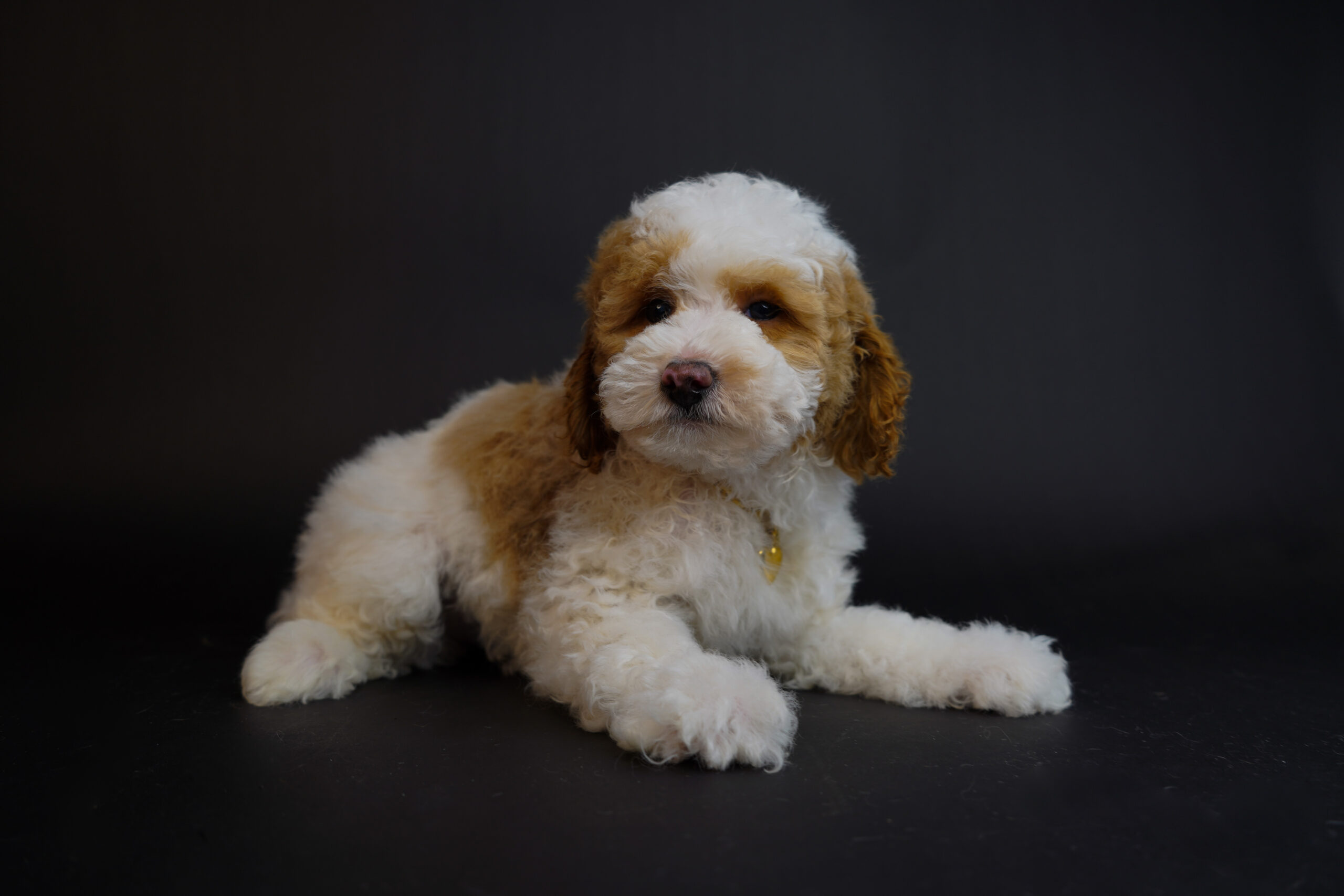 9DF186C0-C24D-4B4E-B72A-3944ADF33B3C