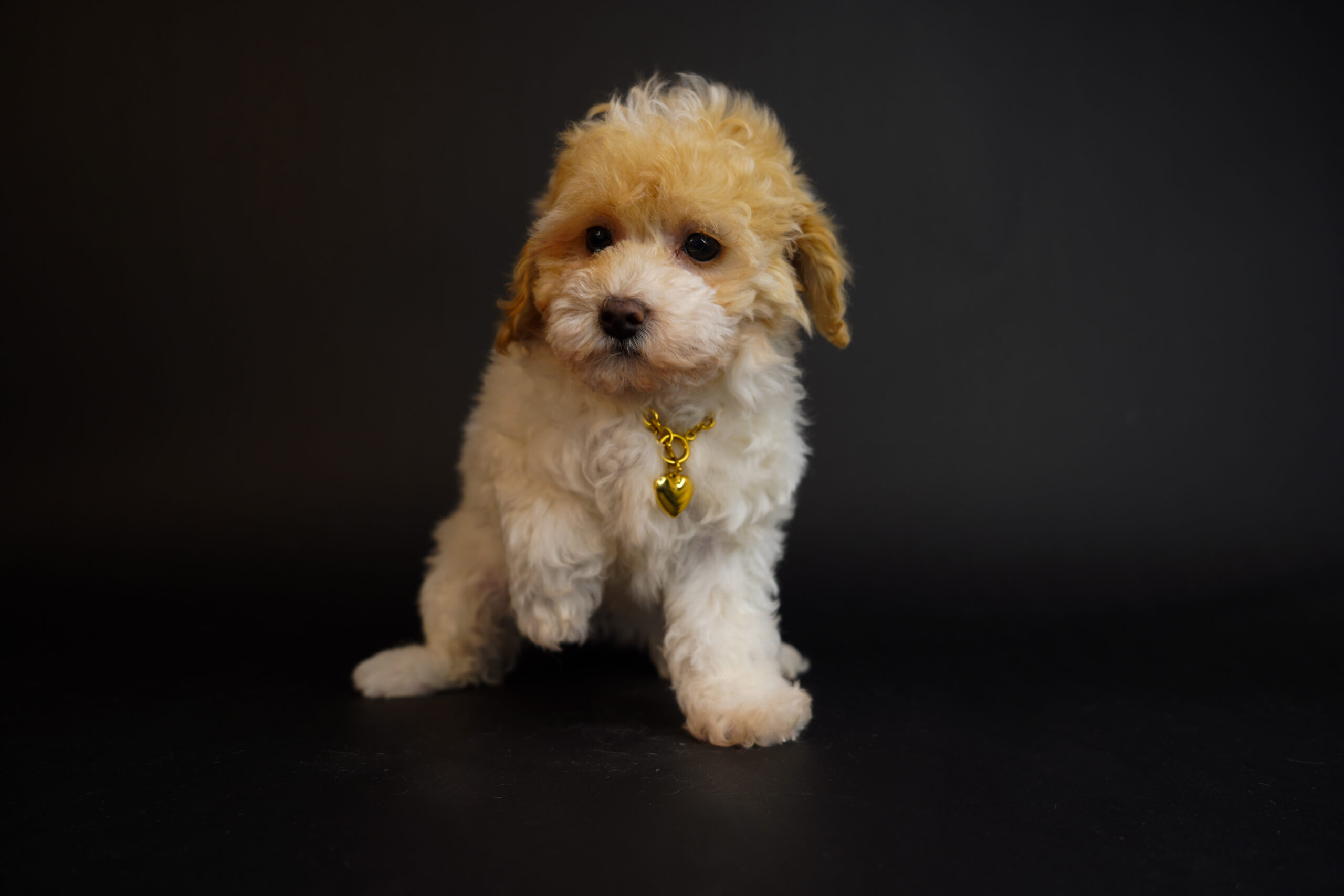 9E4742F5-CDE5-478E-A9B2-288E11849EE6