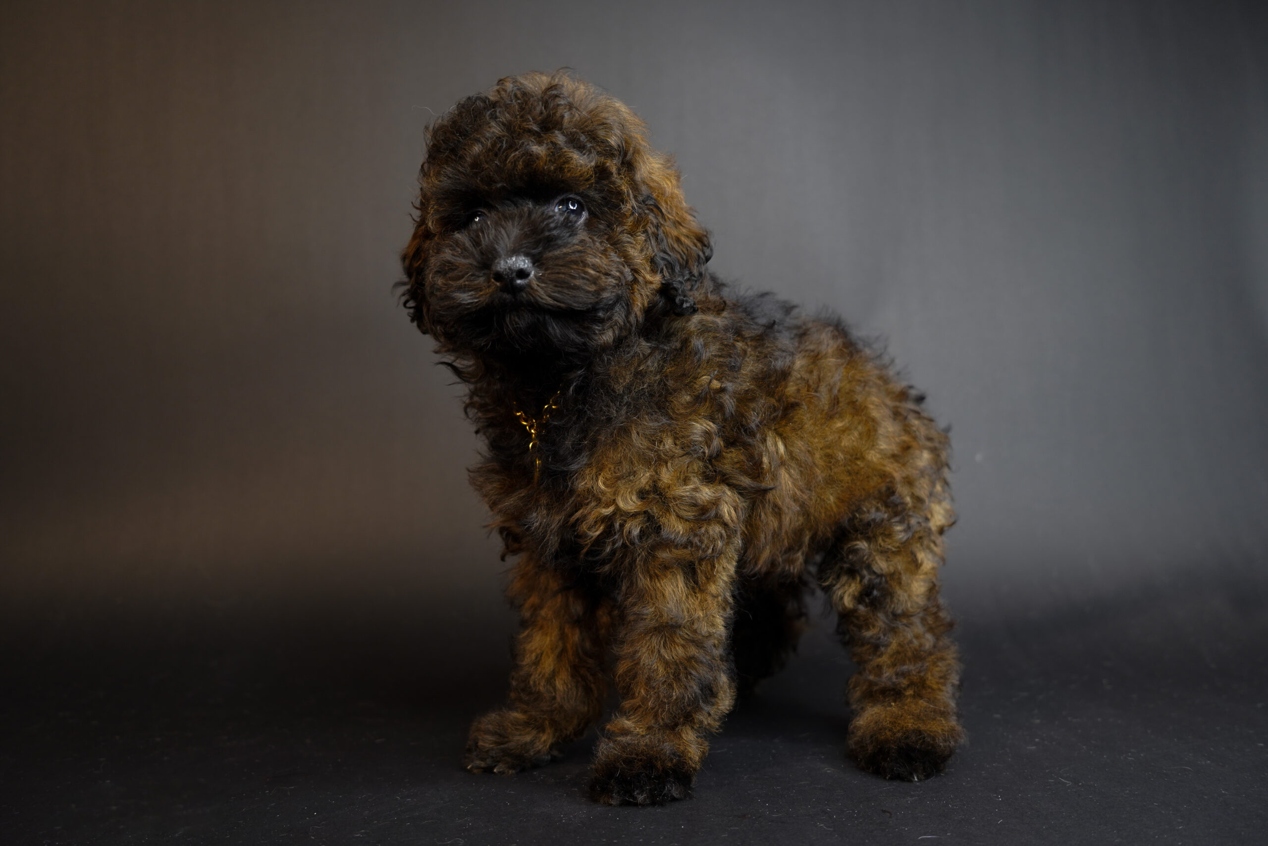 B9FDD491-5866-43A8-A8EB-8766B7E76D70