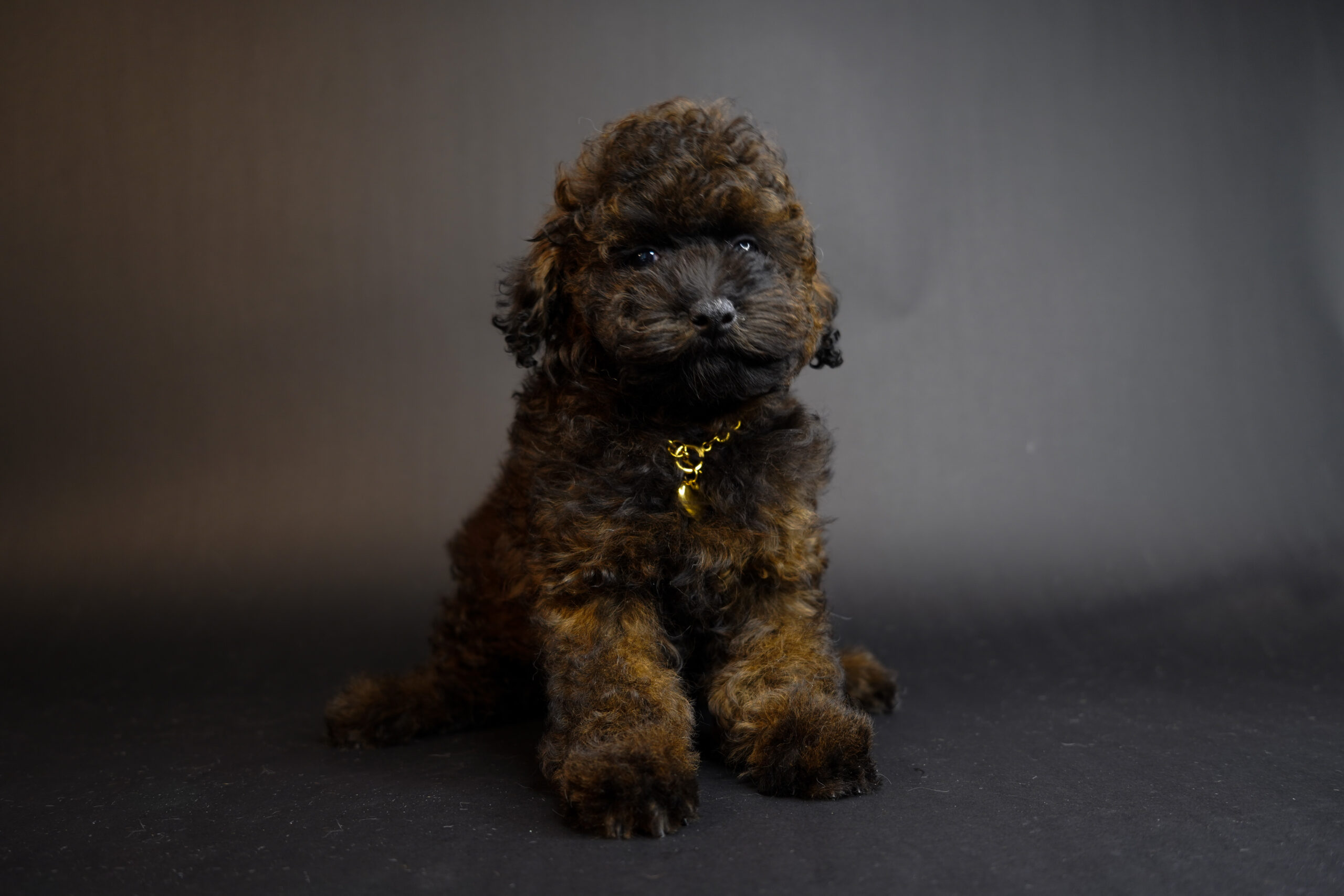 C551A9EC-BE65-4BFF-9542-5839849DC797