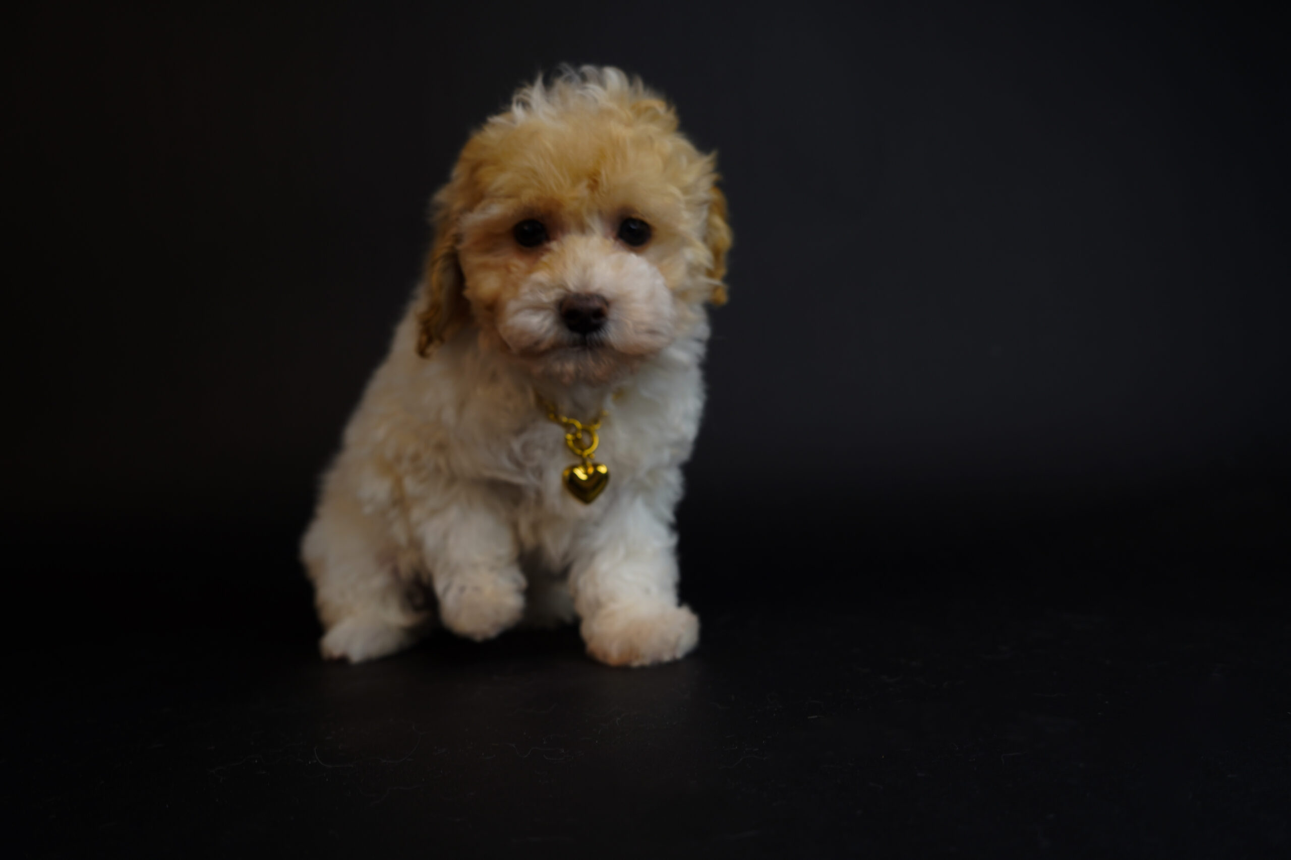 D4FB1EB9-DAD5-4A47-900F-F34BD3233A15