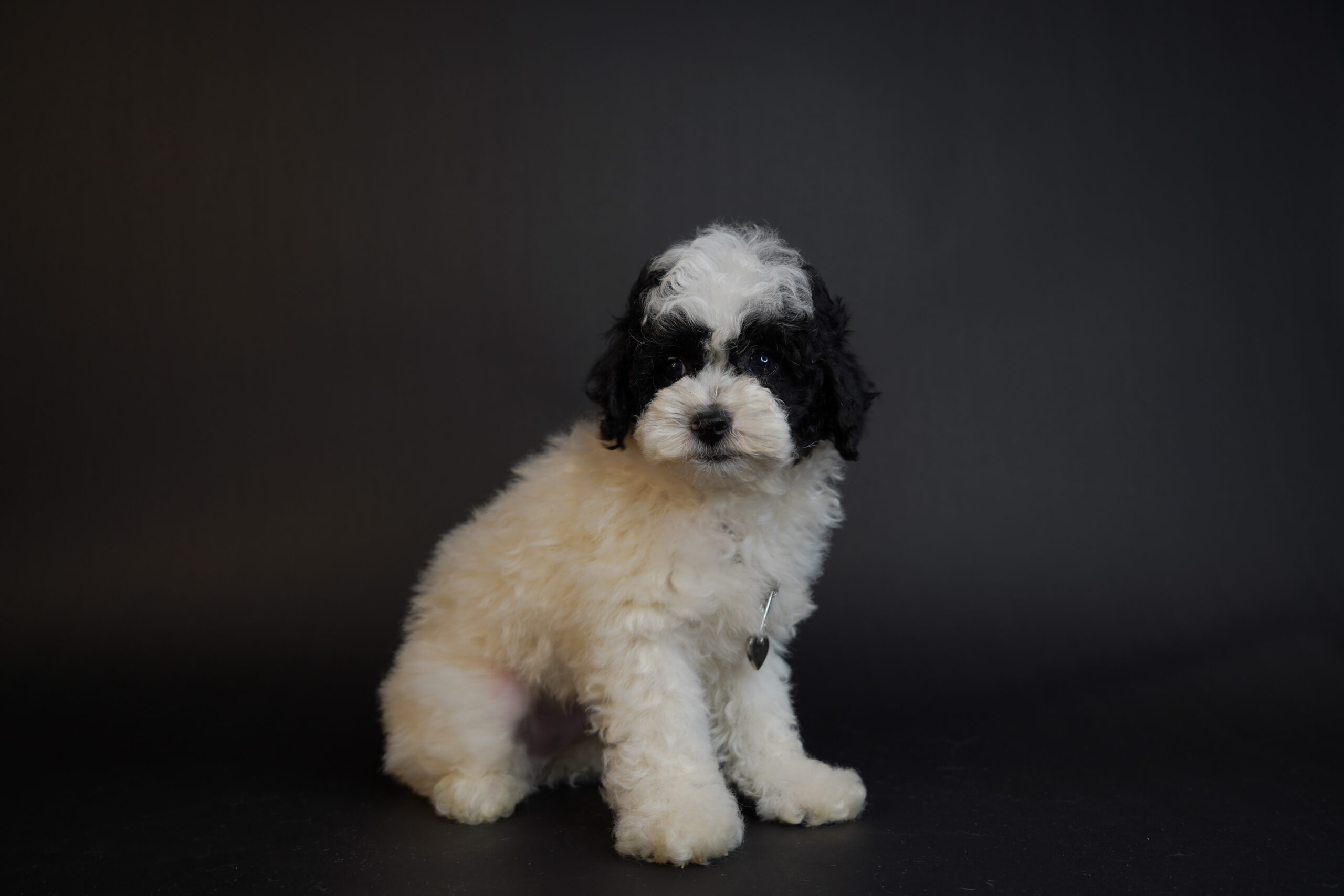 D6003CA7-6E02-4D14-A3DC-B341CB72D881