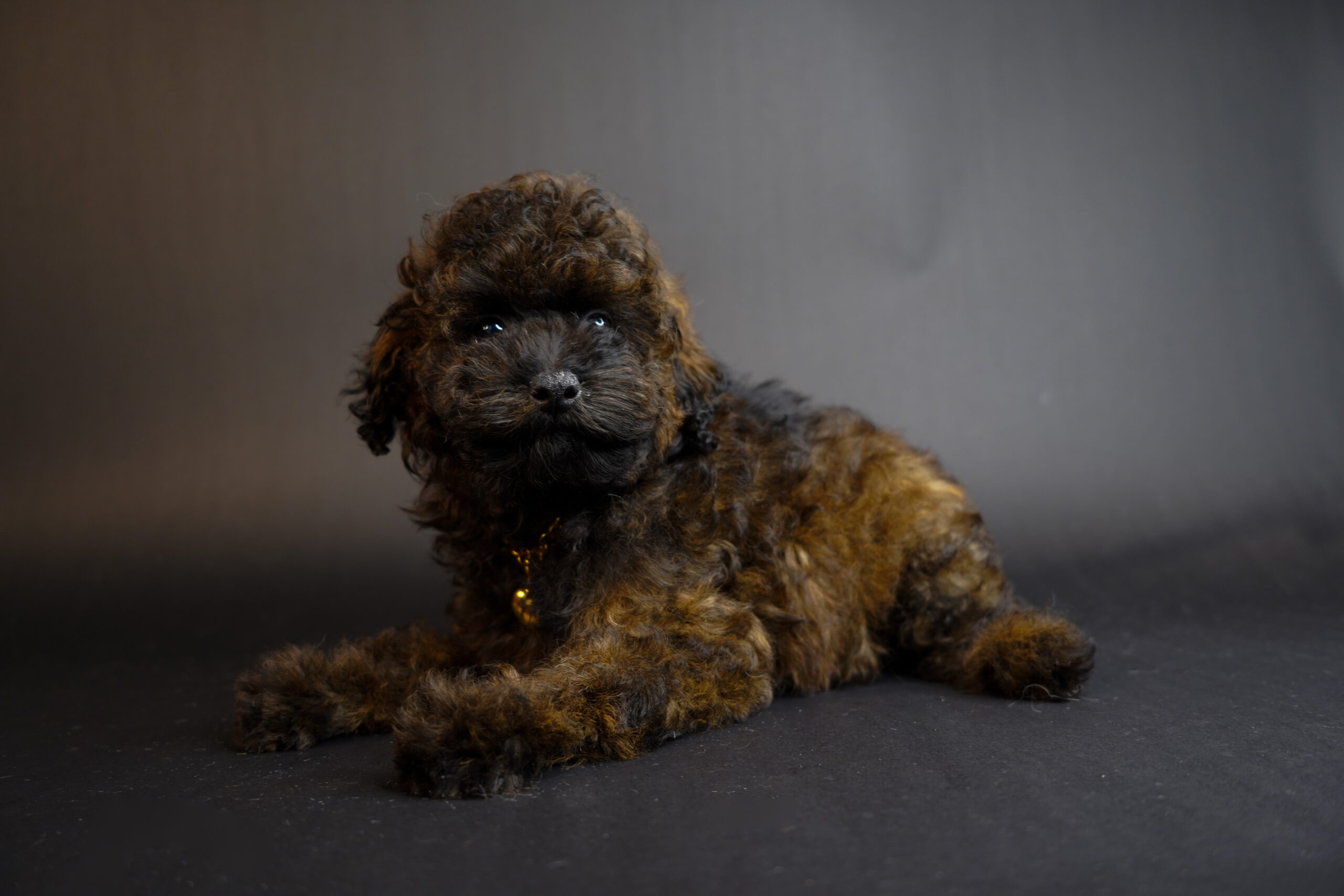 D7B1FB7E-E4C8-4B68-B54F-ACC3E7F02022