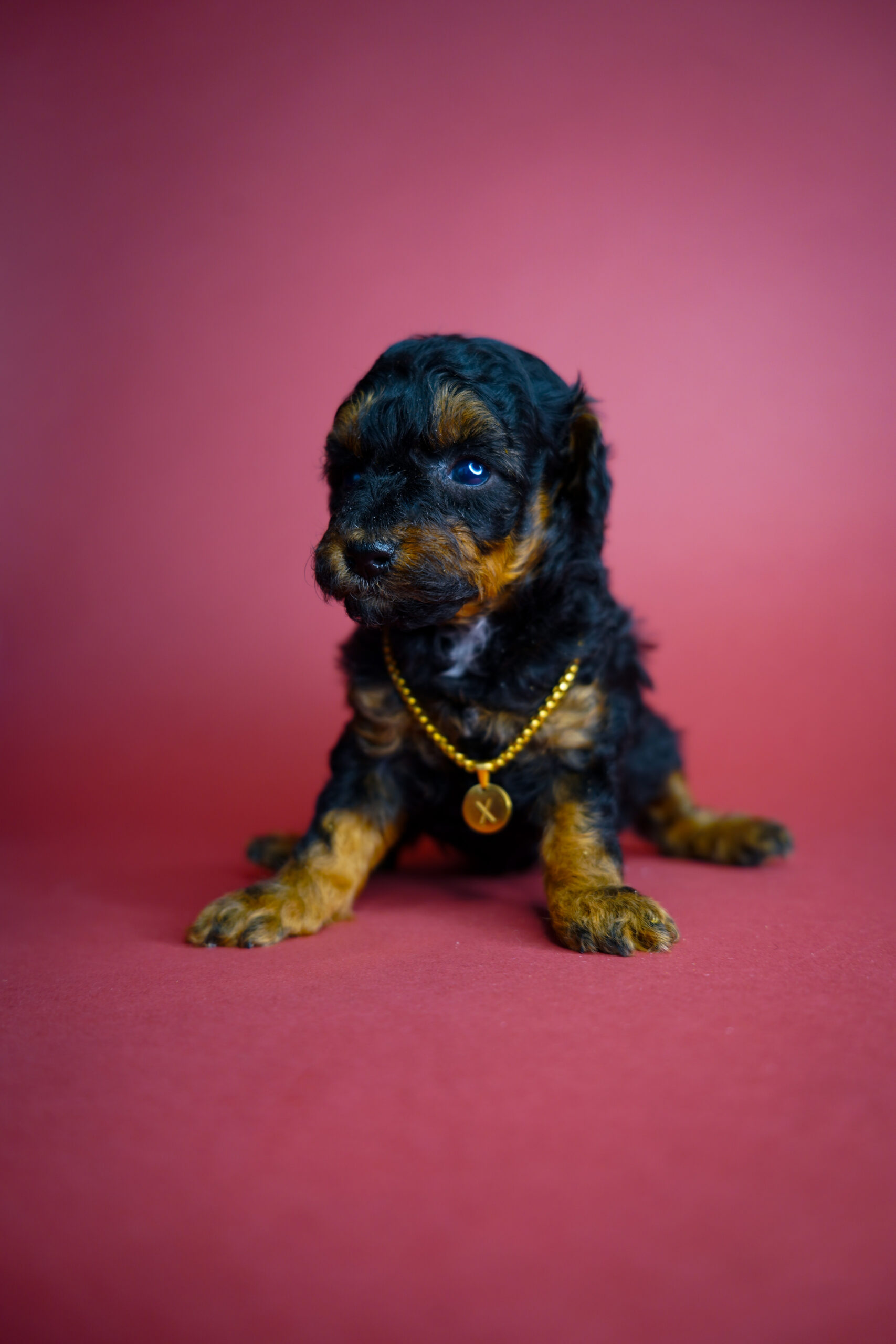 052ABFB9-E0C8-488C-A23D-34E8549E9627