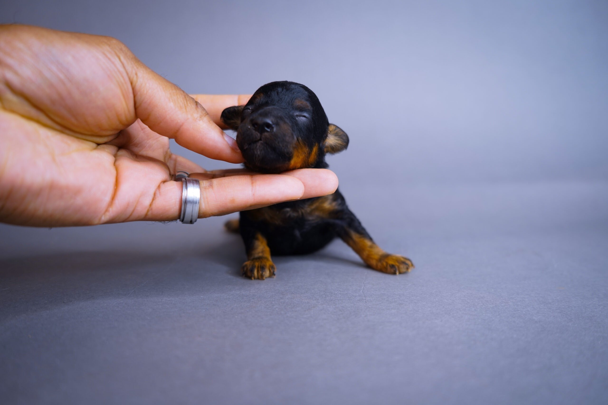 05C20292-957D-4BCA-B2CF-CA1BC2713C4B