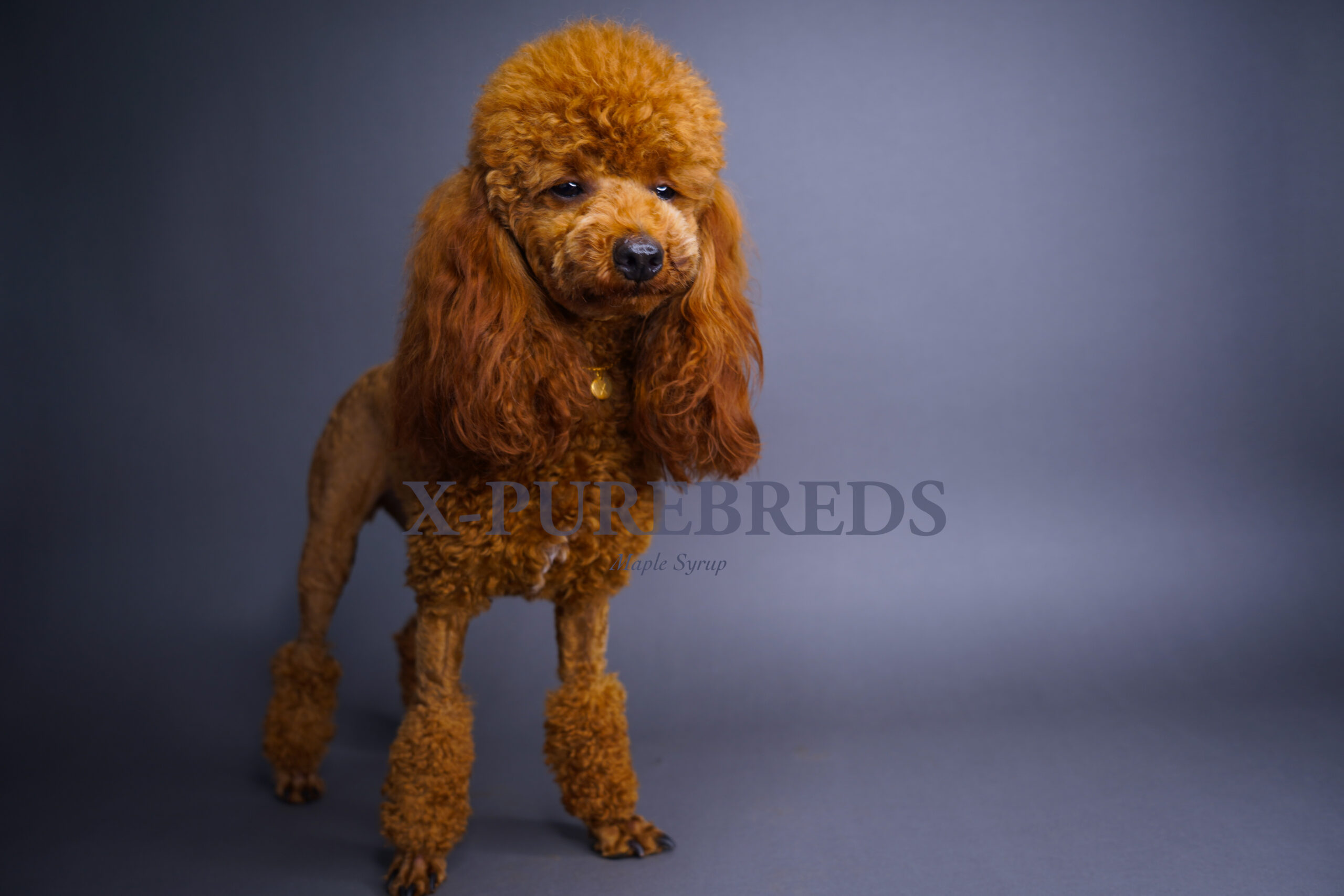 0873EC8B-9DA1-4178-8DE7-B7A48C0A325A