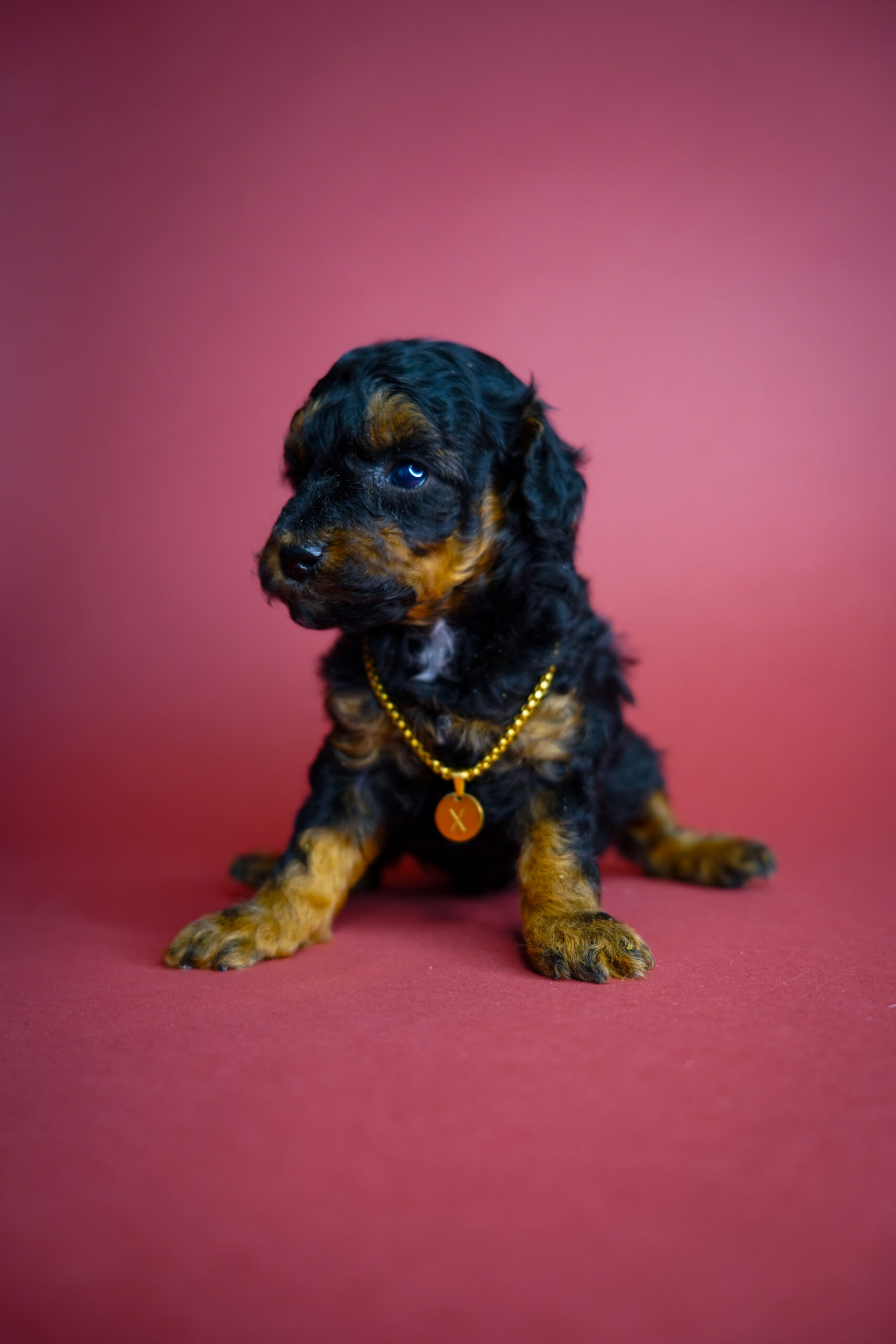 09C5CAC2-1165-424E-8D9D-7873EECAA713