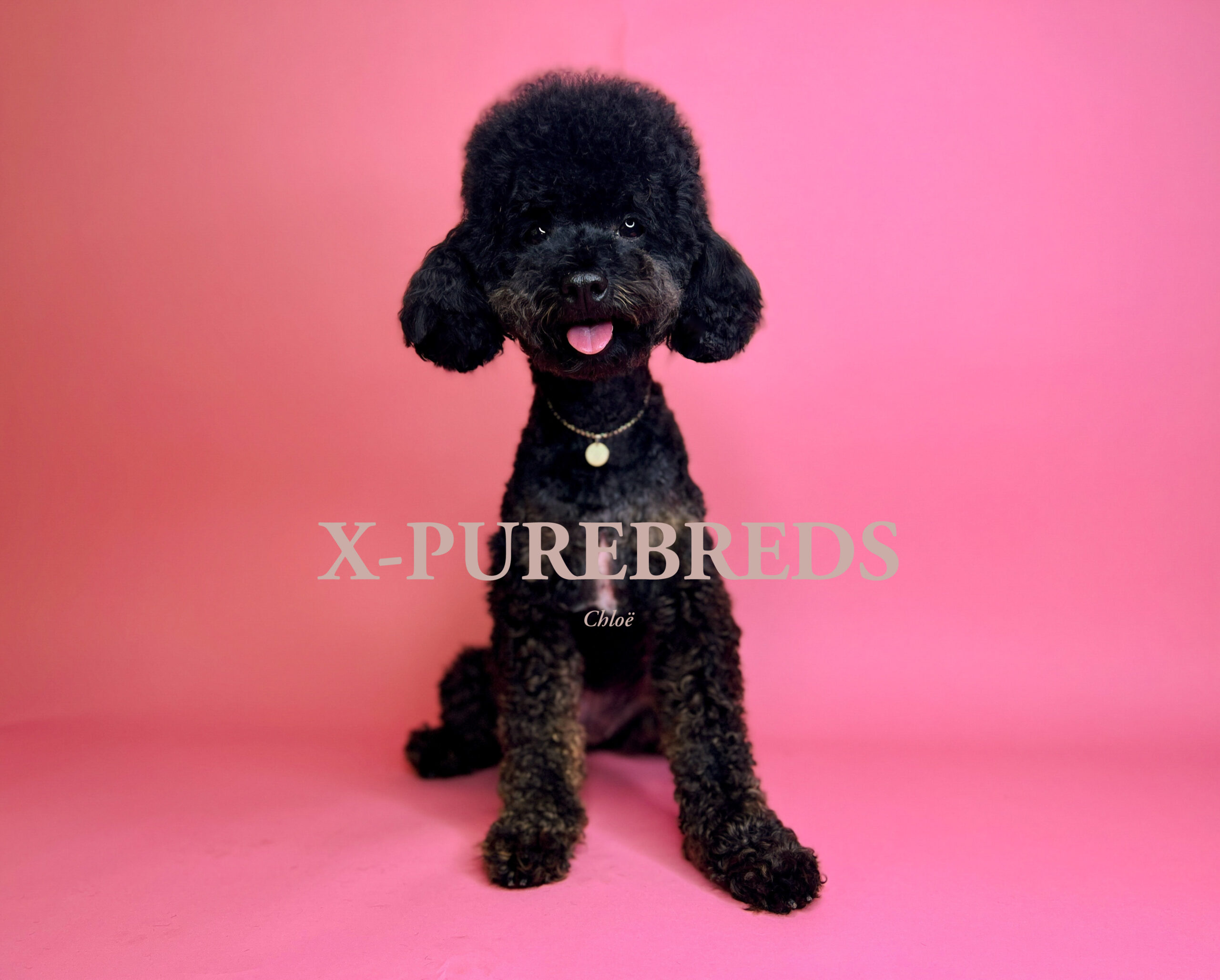 16ec93f336ba499c8c167efbc701d964