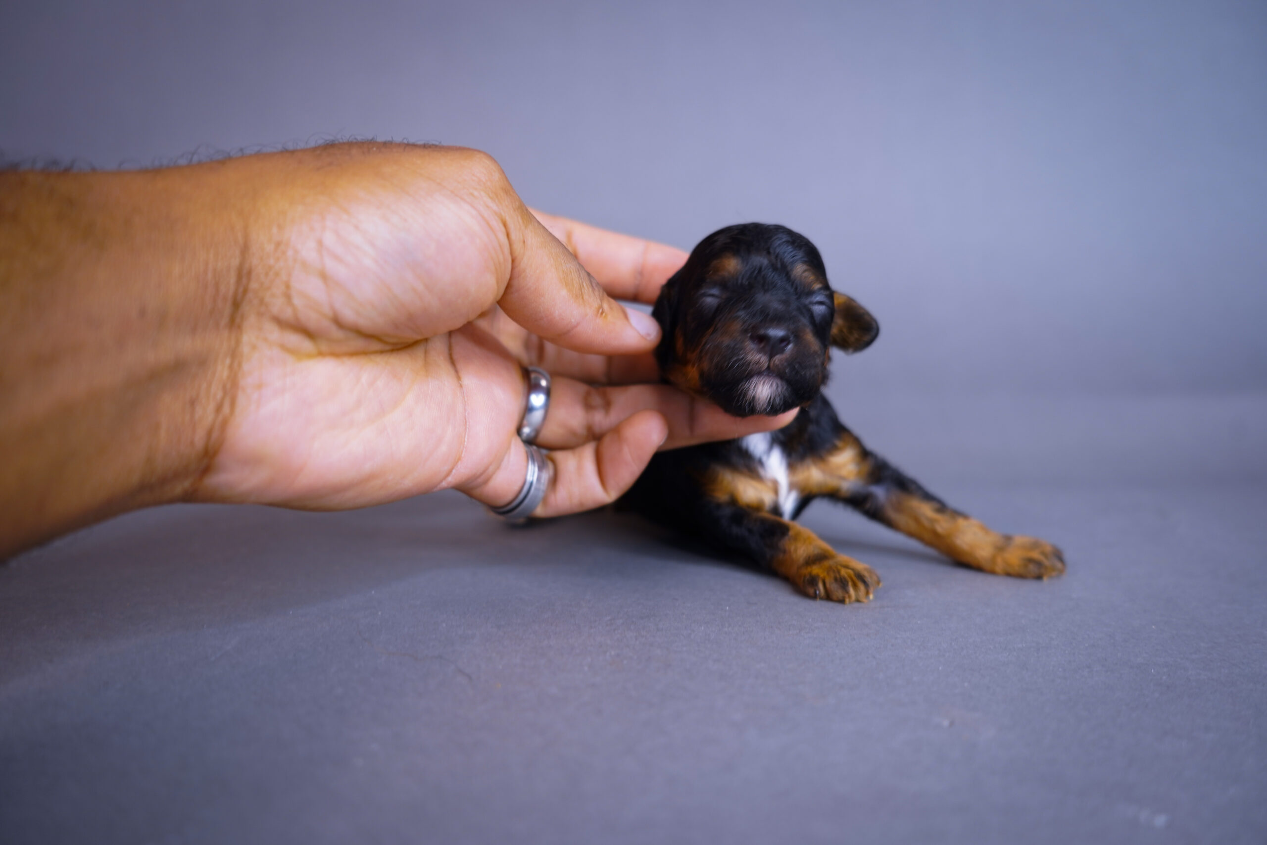 22851A6B-2217-48FF-9AED-83A4F141BFC0