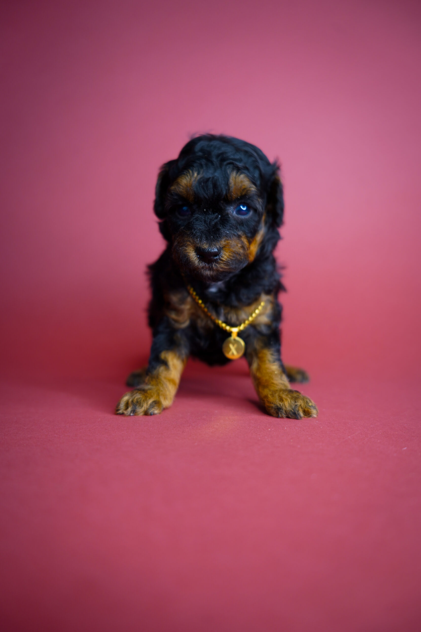 2FC626DA-DC74-4104-97F4-6E0E09B0F7D7