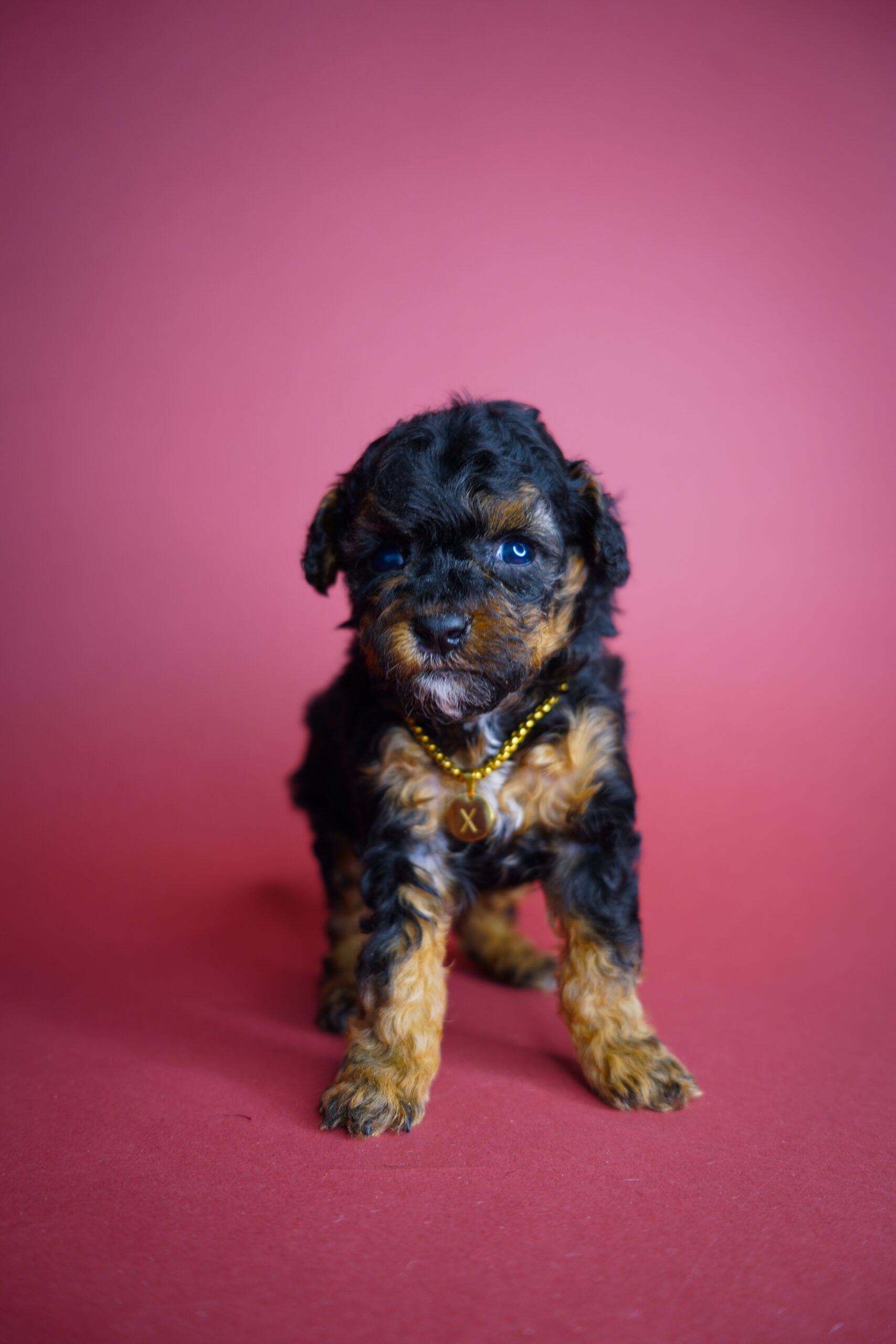 3099A852-3D32-4AC7-9EFC-296114FDD087