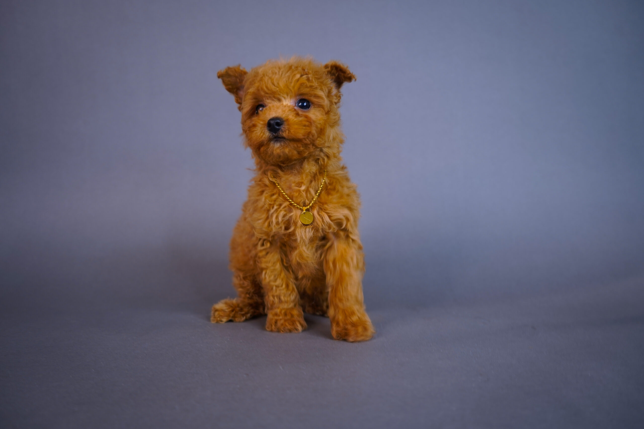 39361158-730A-42DE-B157-C6F7F666AB8E