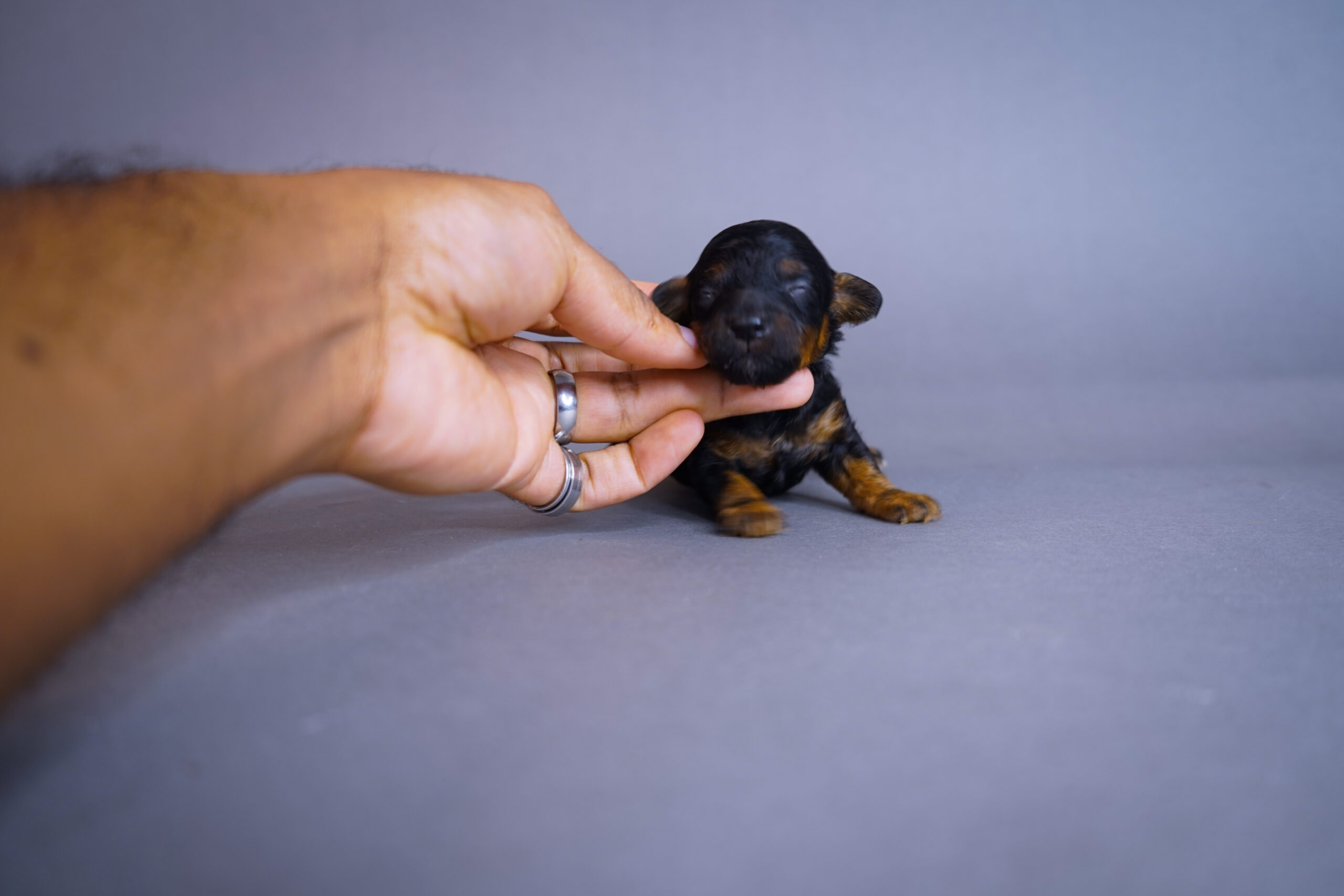 3E6FDB49-6920-47D2-8769-20CA5AD217BC