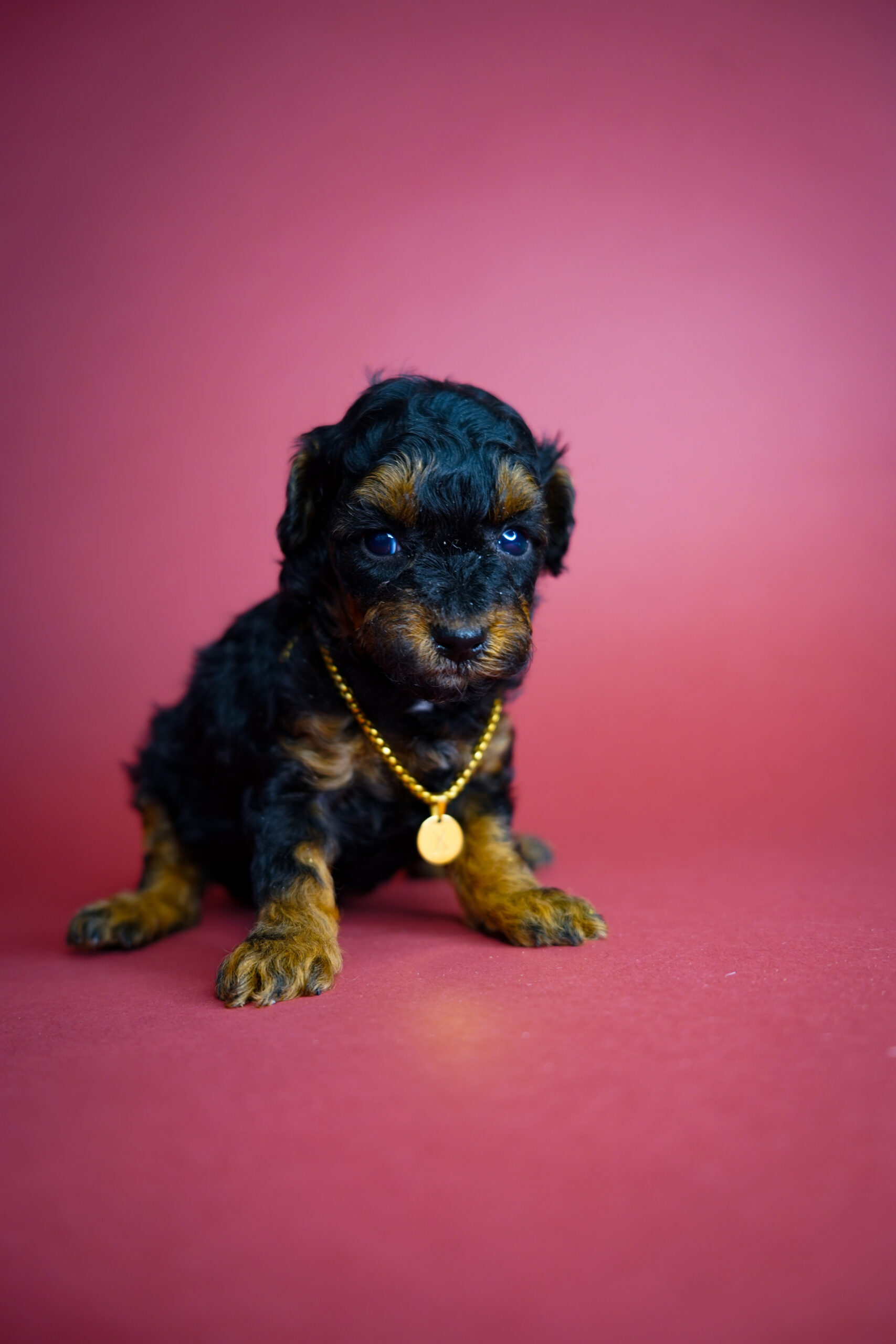 41D3A35A-CE80-4048-A778-8F49EB4748DD