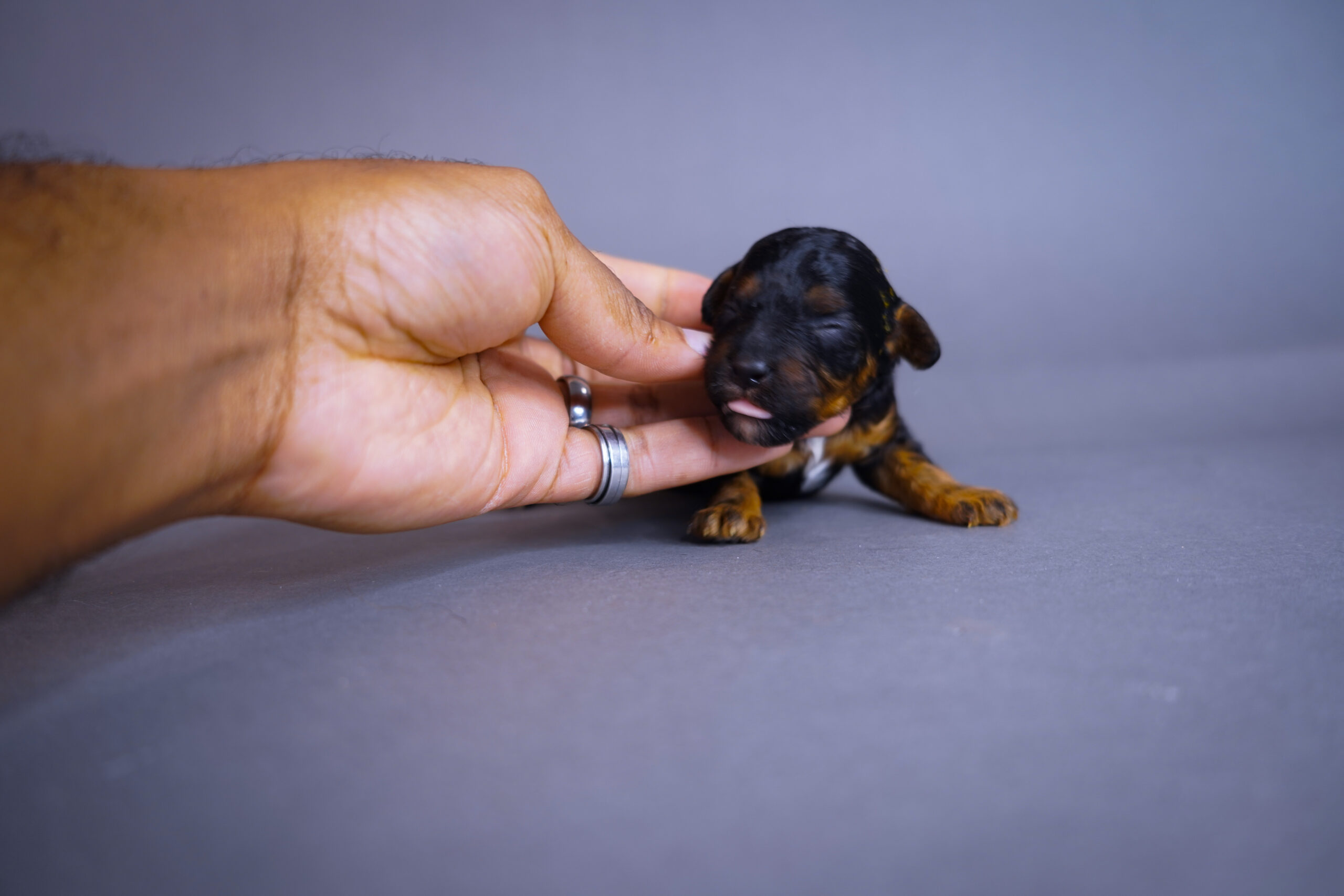 4CFC99B6-ECF6-44A0-B2DA-231882B5359D