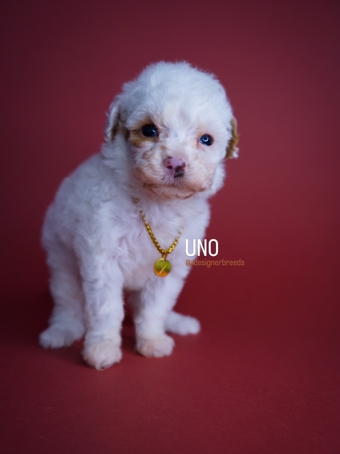 4DE1A3D7-6BEB-48F4-BF7D-E1E413EF16AA