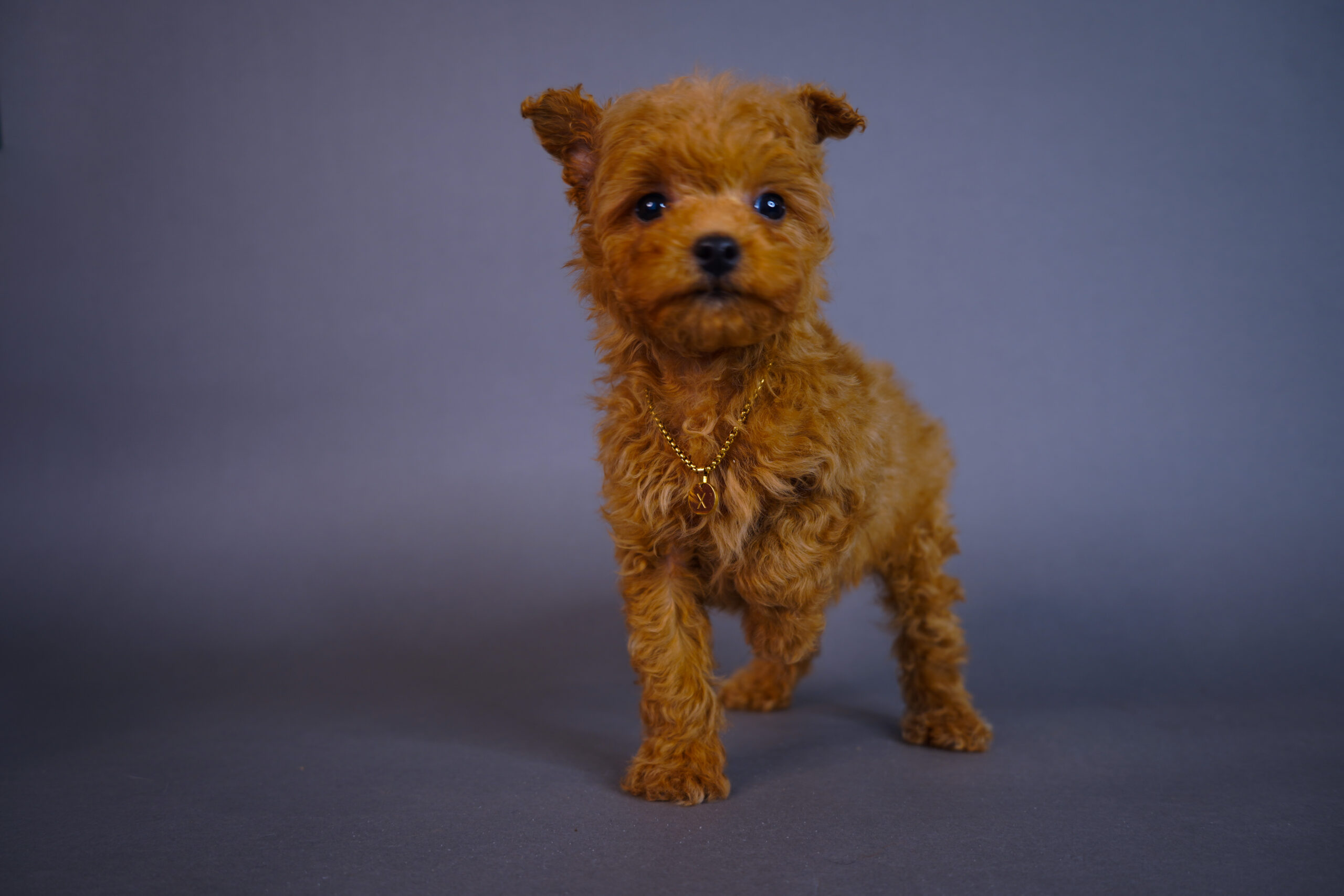 55273CA2-6FAD-4AD1-B7D5-96DDEFF27068