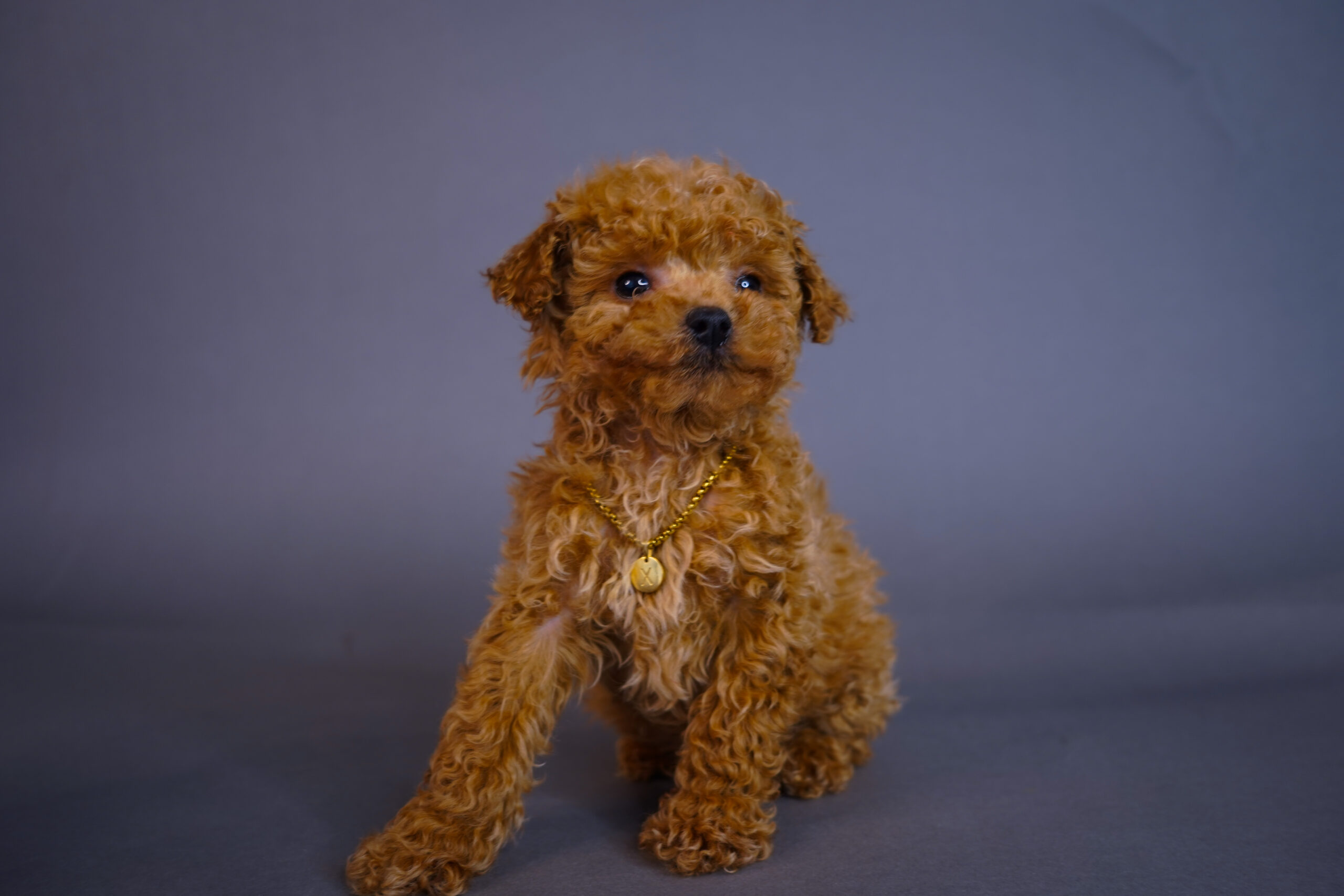 6B4AE48B-FEC5-49F9-A96B-489378373CE5