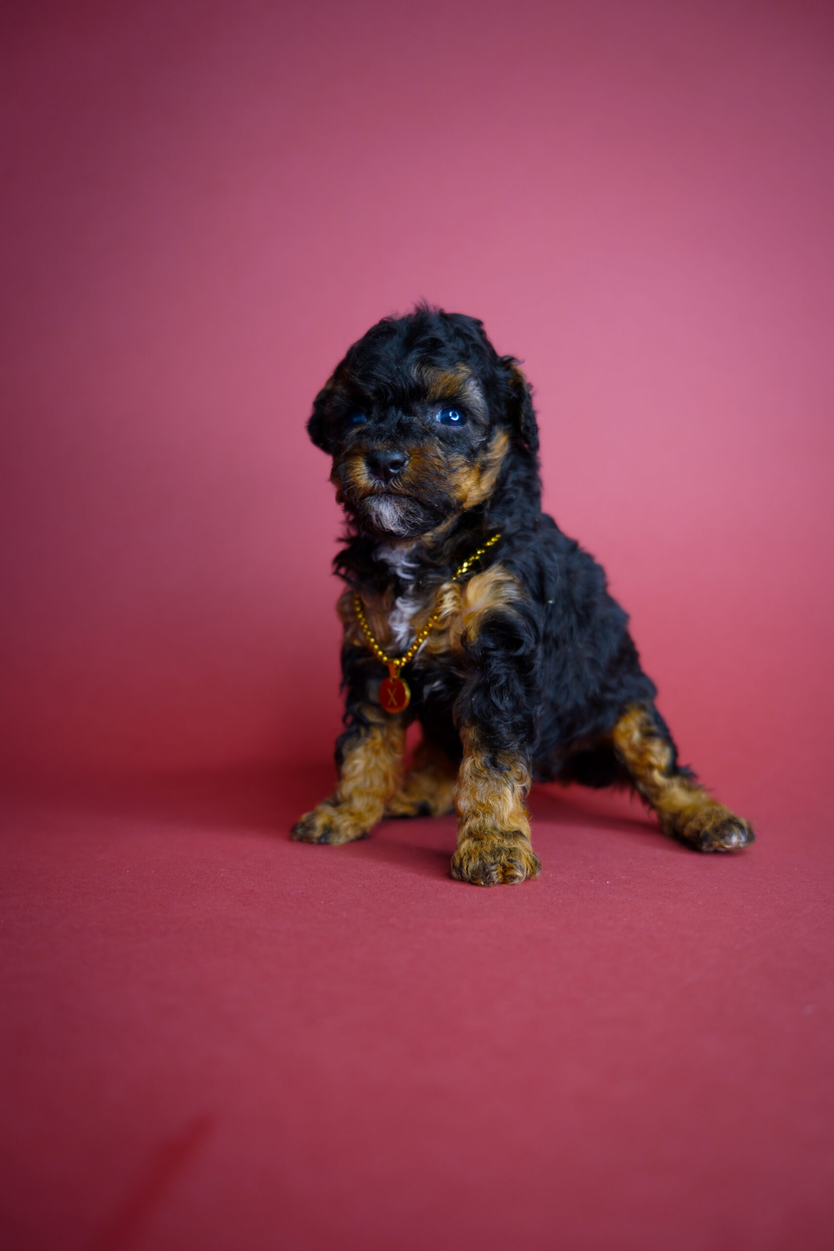 79B42483-65AE-4587-9F8D-9620E90B13B4