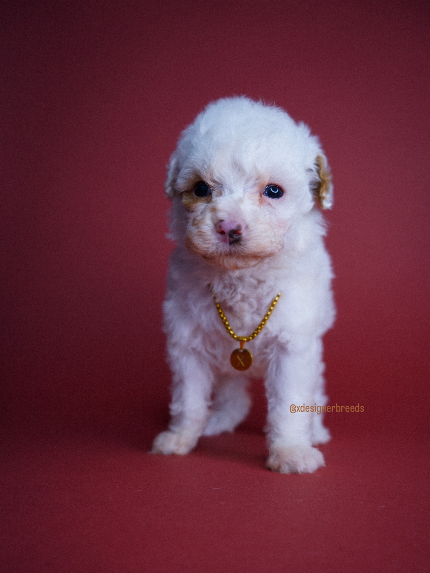 80F858D6-0F83-4E53-98E8-03B0FA3E7BA9