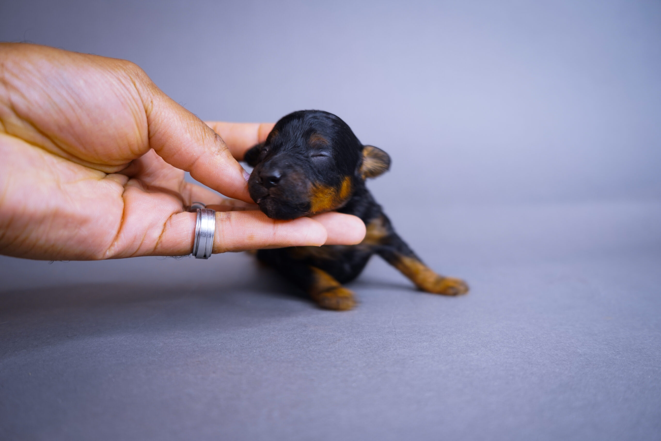 8A2C1FC6-954D-4733-9ED0-88DF57301AA1