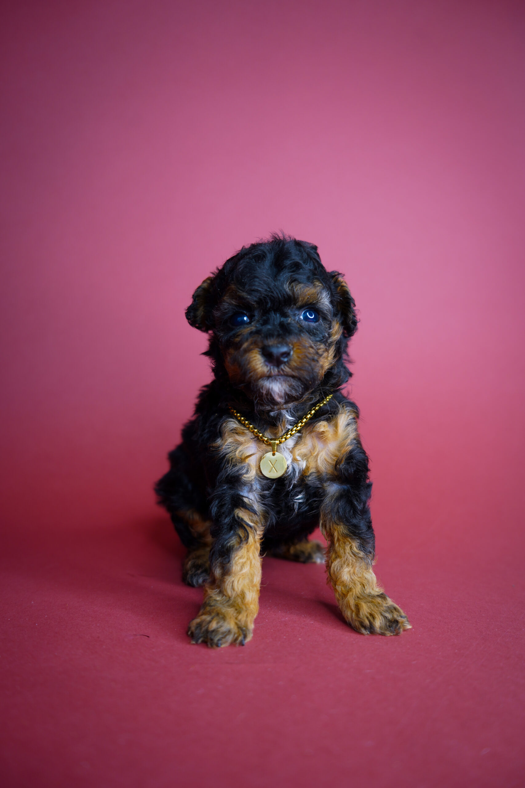 91A66F12-1145-4788-8FA2-A48E9EB6057D