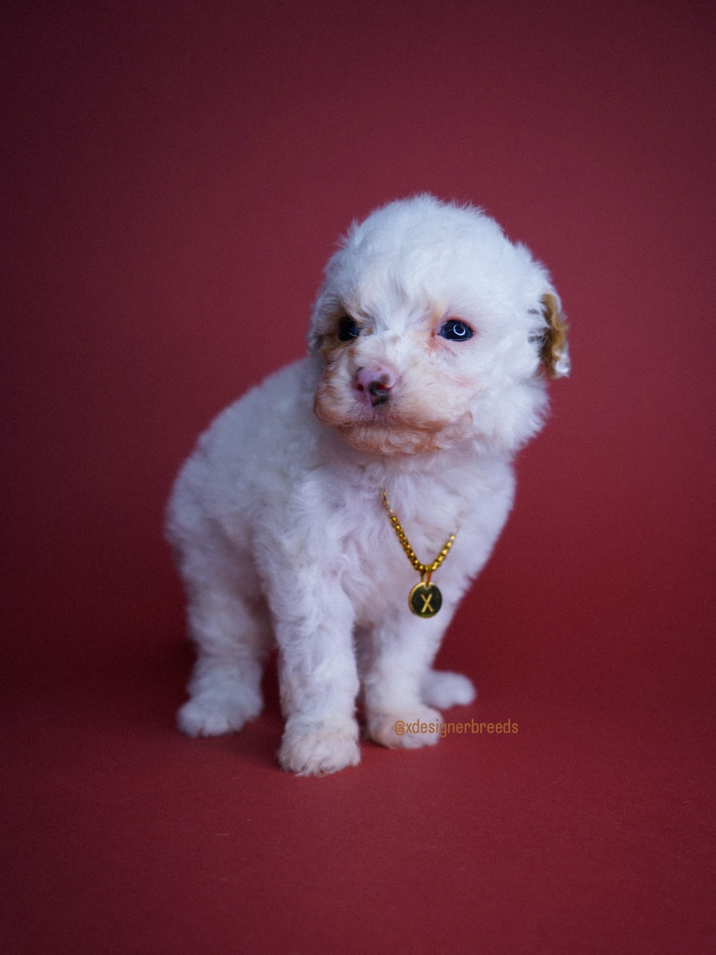 97D73536-63C9-4467-9414-B3295FB3D5DD