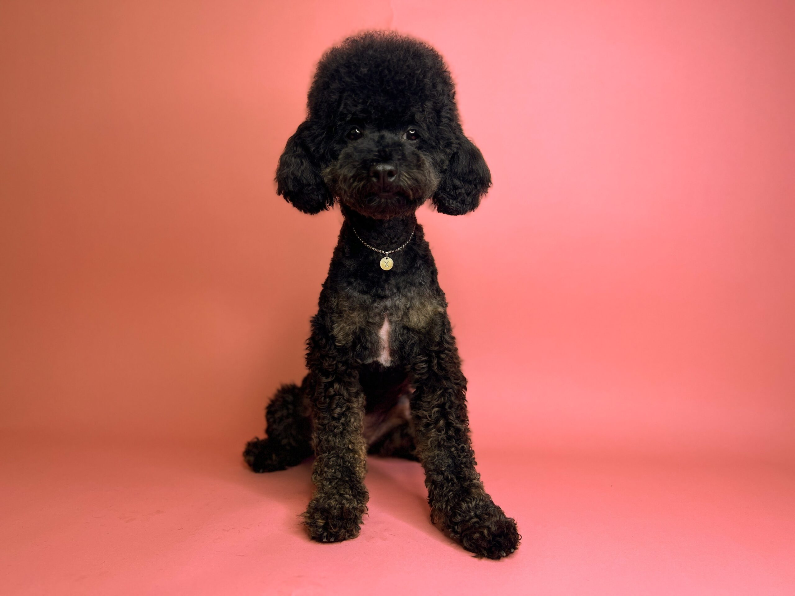 9938655E-9F5E-4149-9943-C390D18FA603