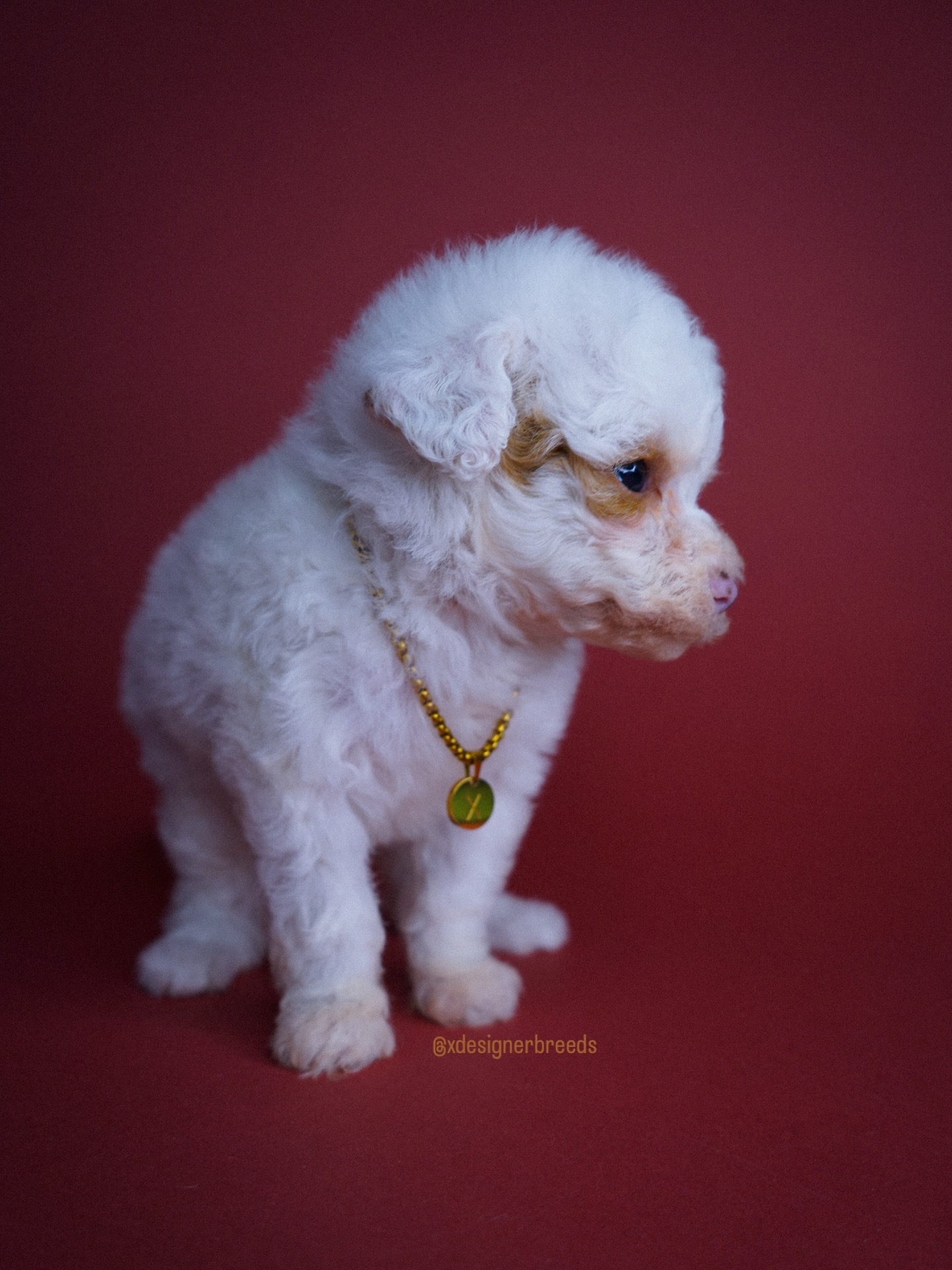 99AC8066-28AA-41C3-B39C-1F96A5940A8C