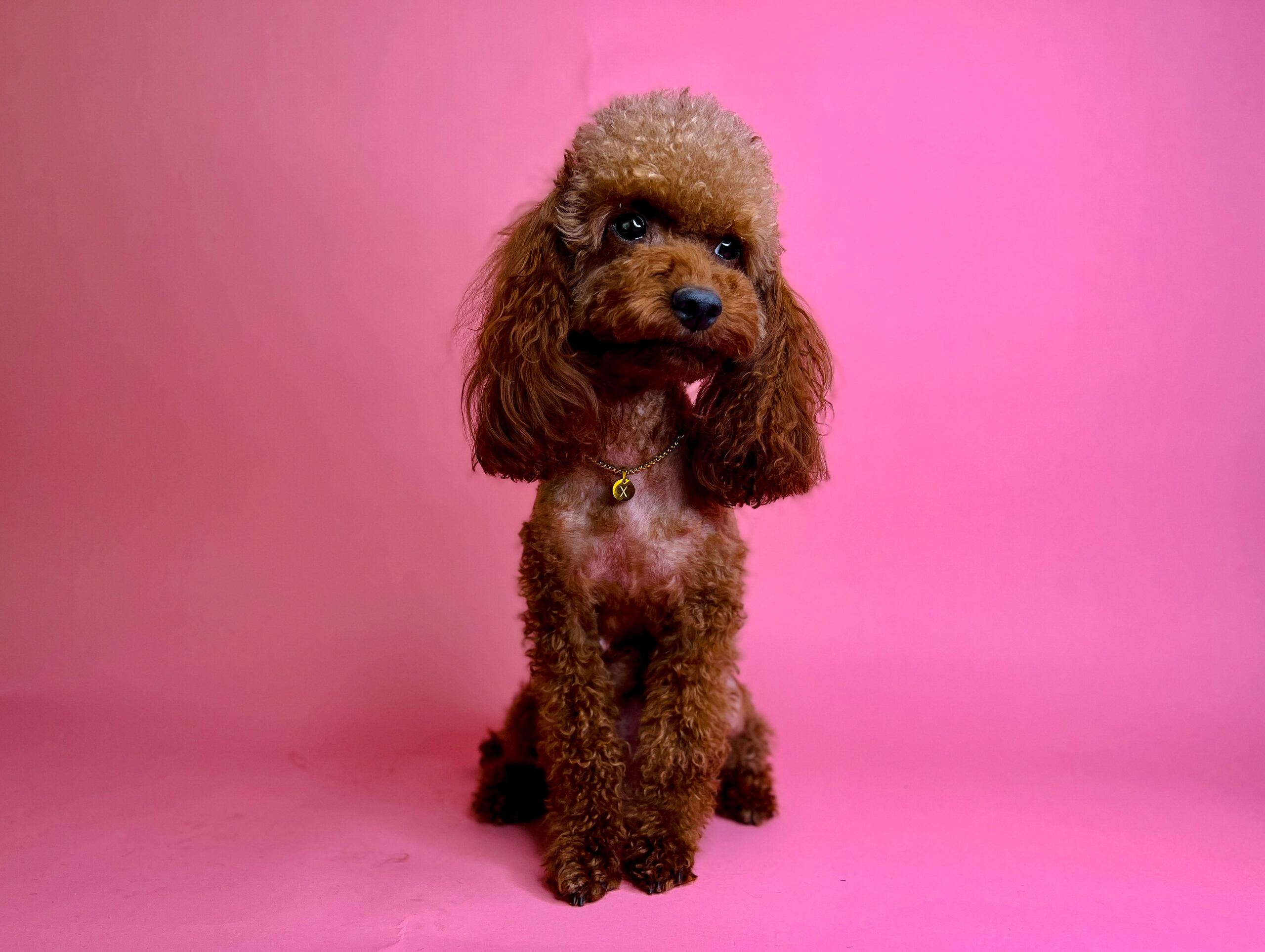 A1F30B9F-C645-4101-99D3-5758236A9285