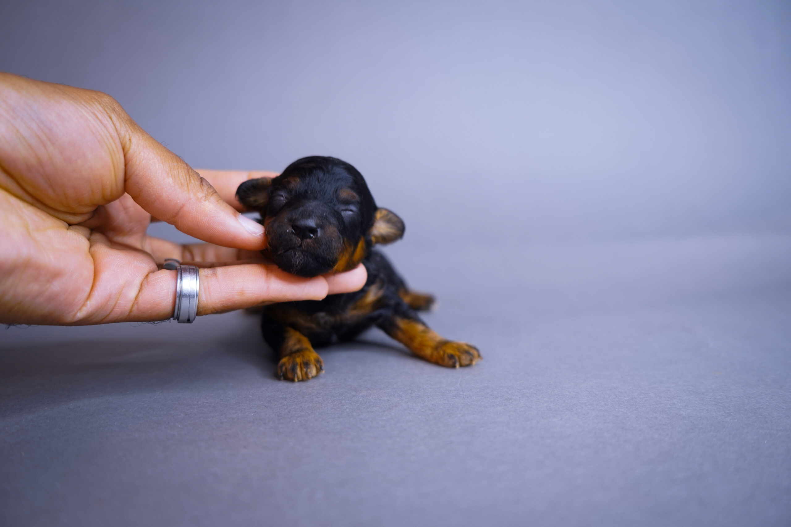 AD9D672A-9925-4D35-BFC6-6A0713334D5B