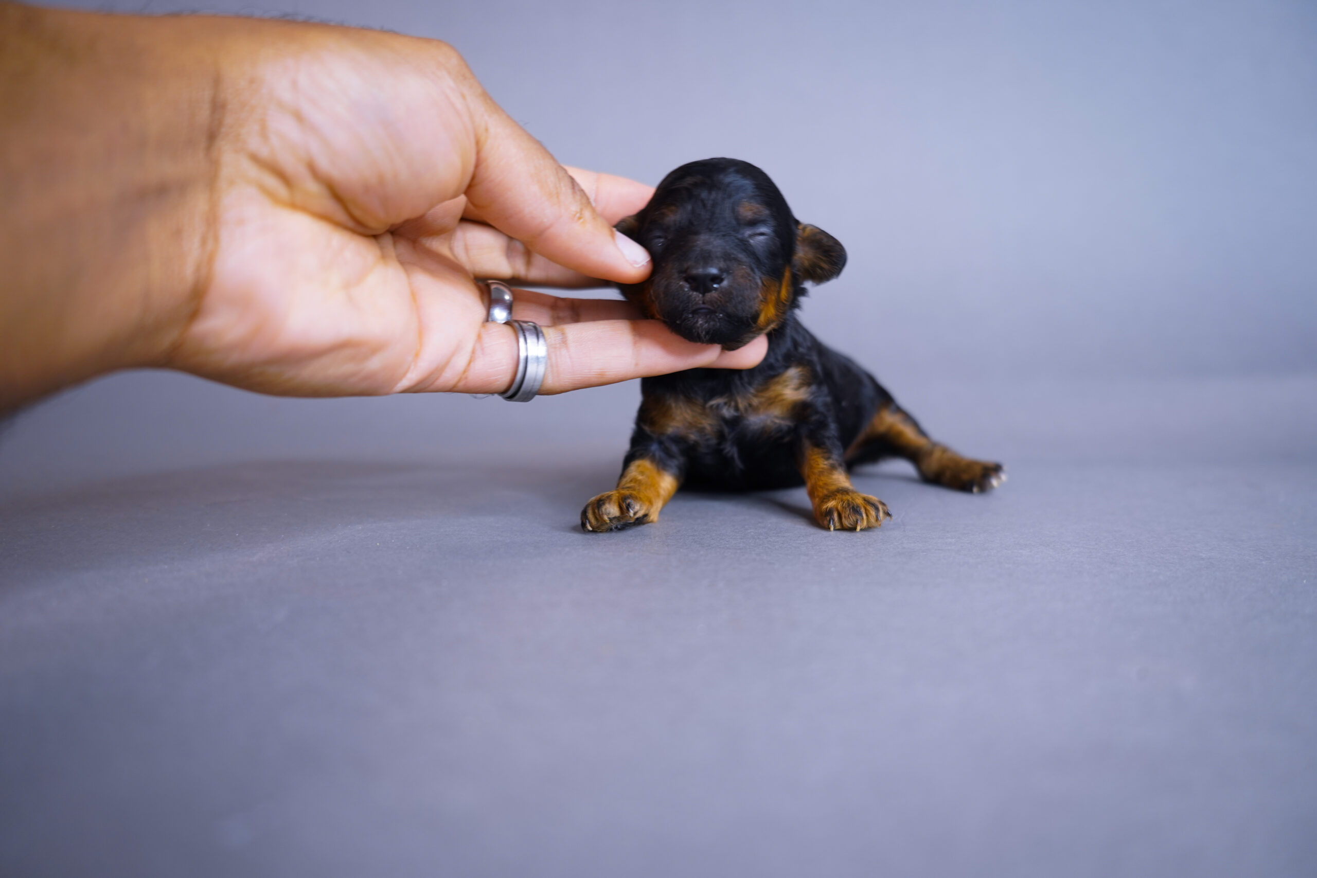 ADFAE947-8853-4CB7-AA28-B2F67FD93987