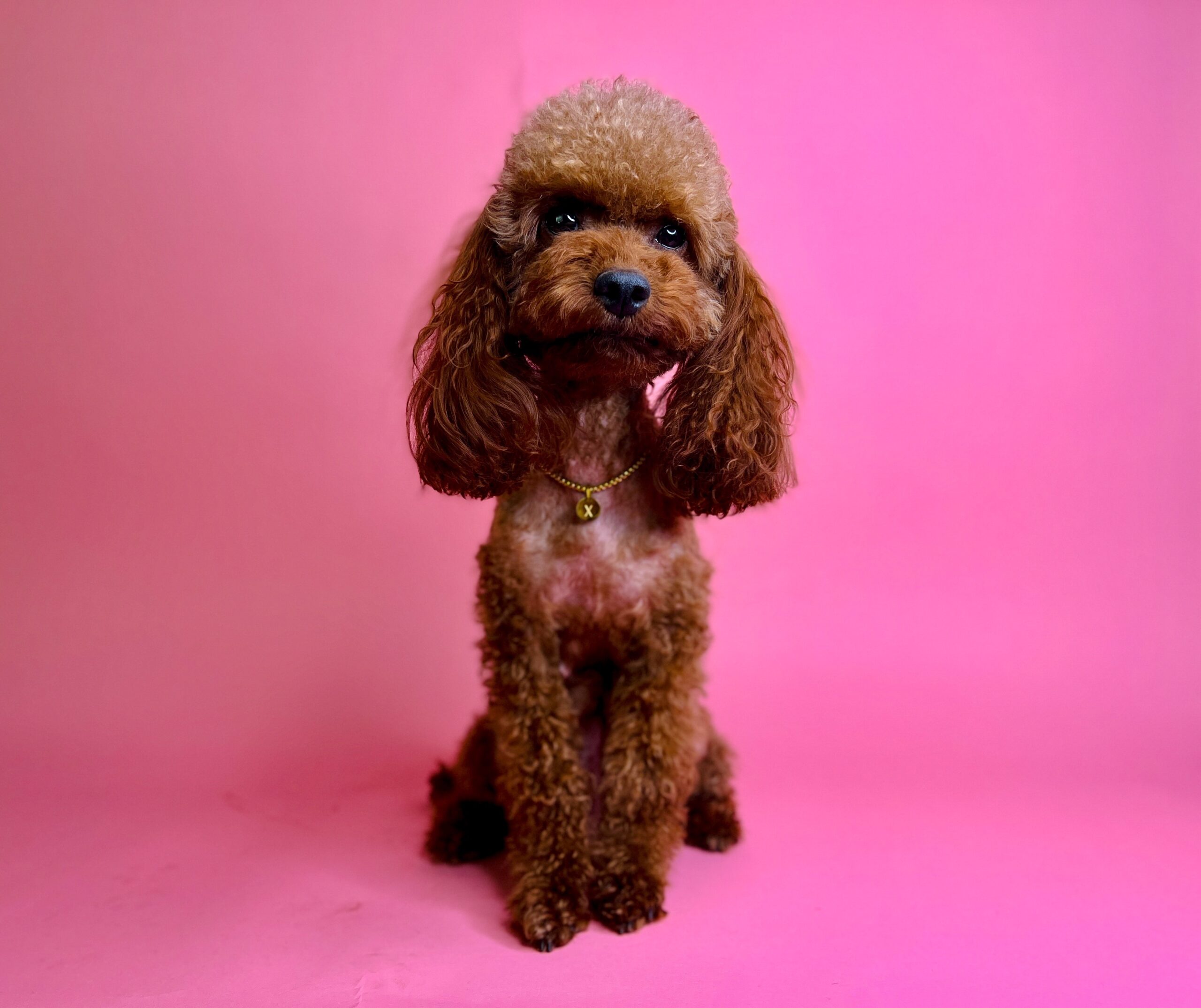 C49F1AFB-F9A0-493A-BD7A-19124AF00870