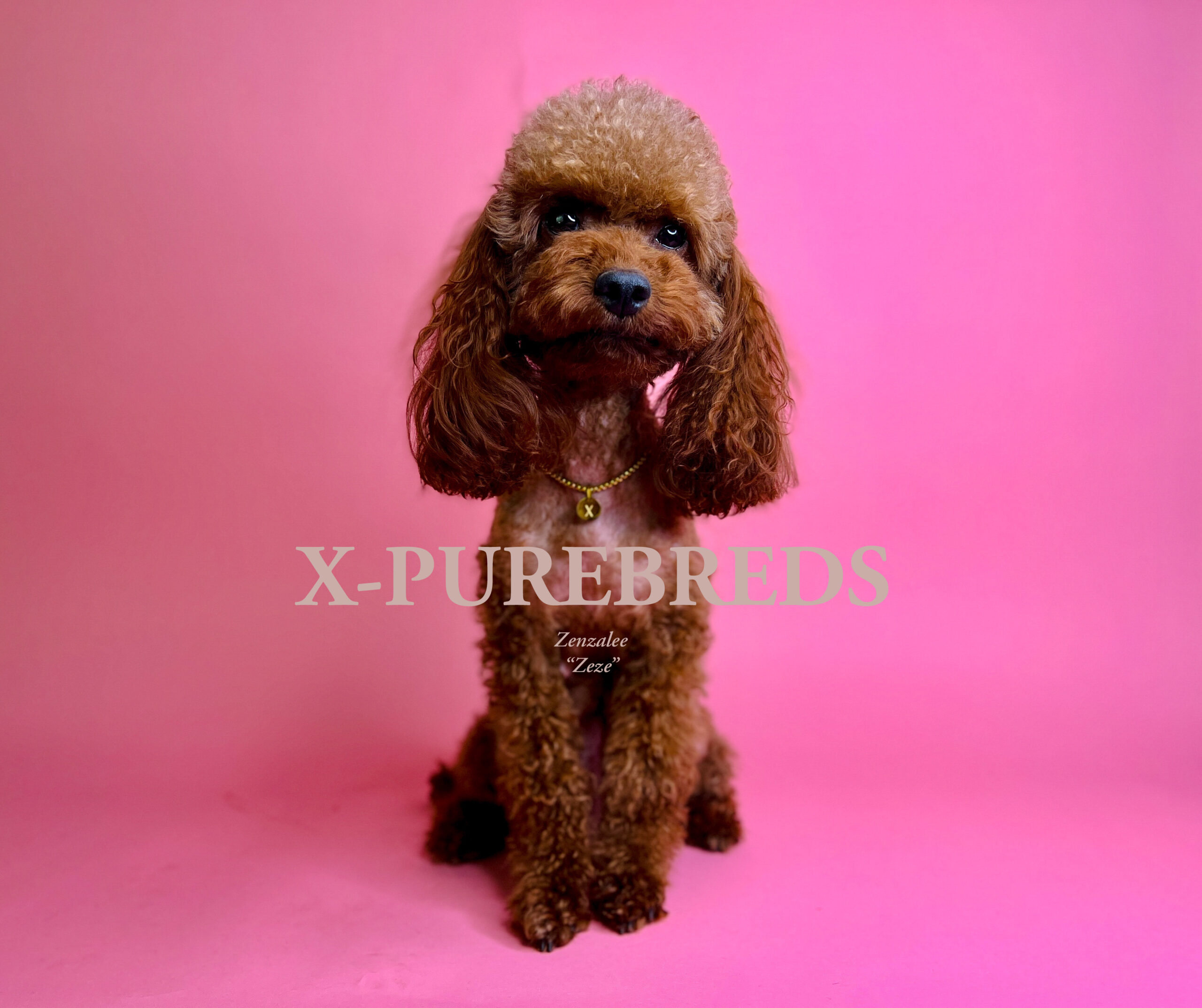 C9559F3D-AF93-42F2-8E20-0E6D06E214B2