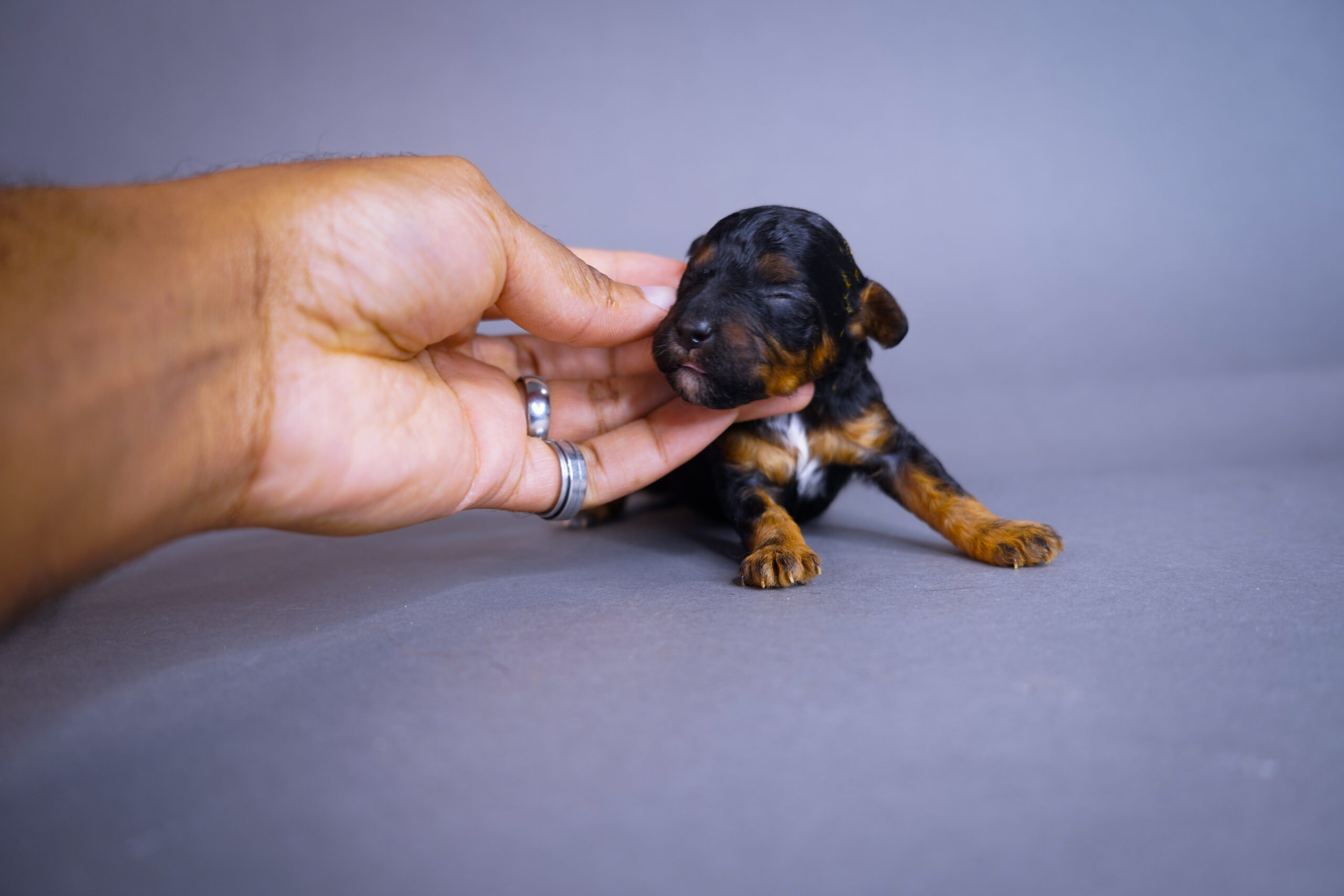 CDF691D8-5C71-4EAD-A4FC-55277AF3B8FE