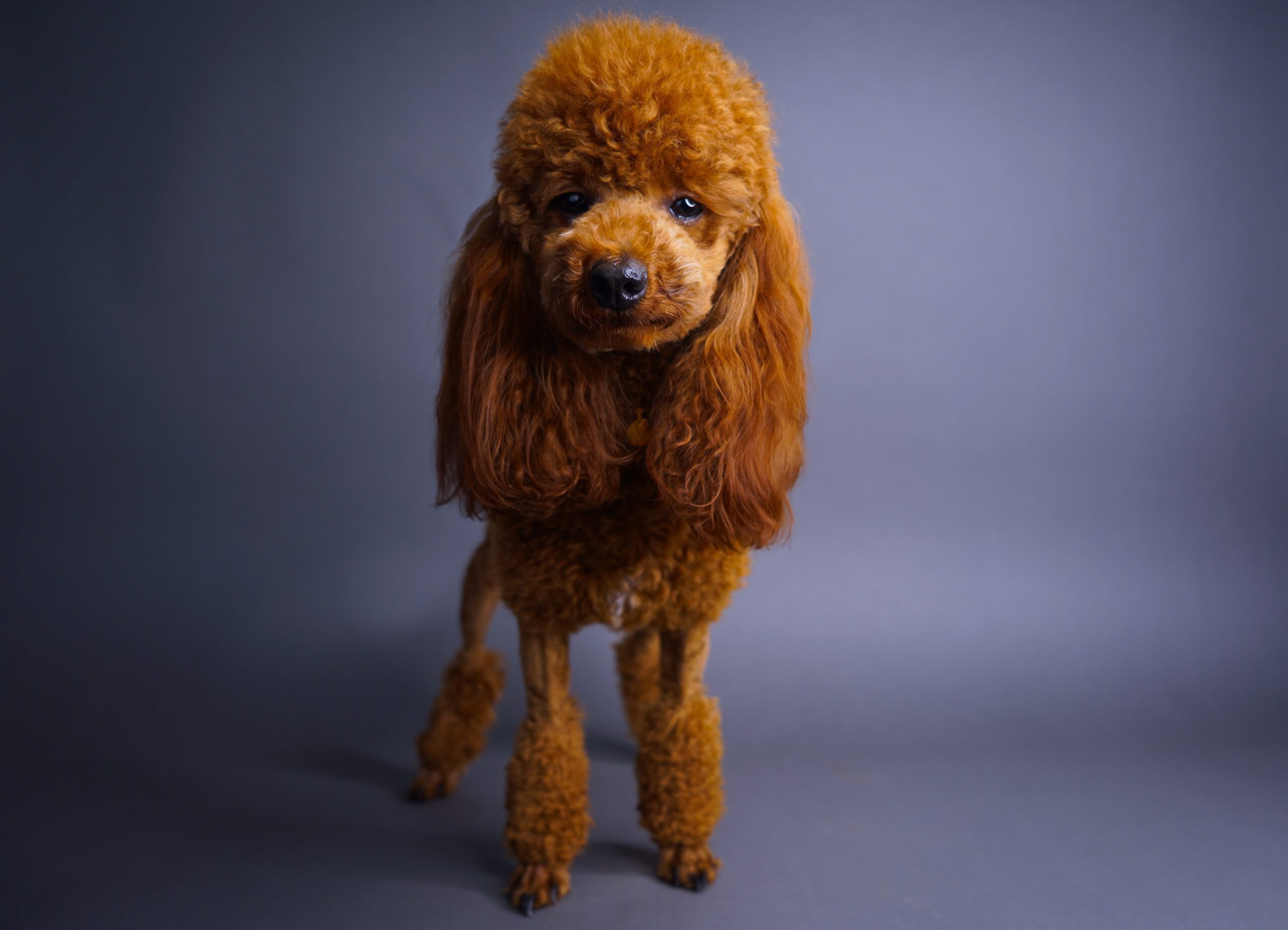 D2518C03-E76C-45B4-8097-085B252A49F0