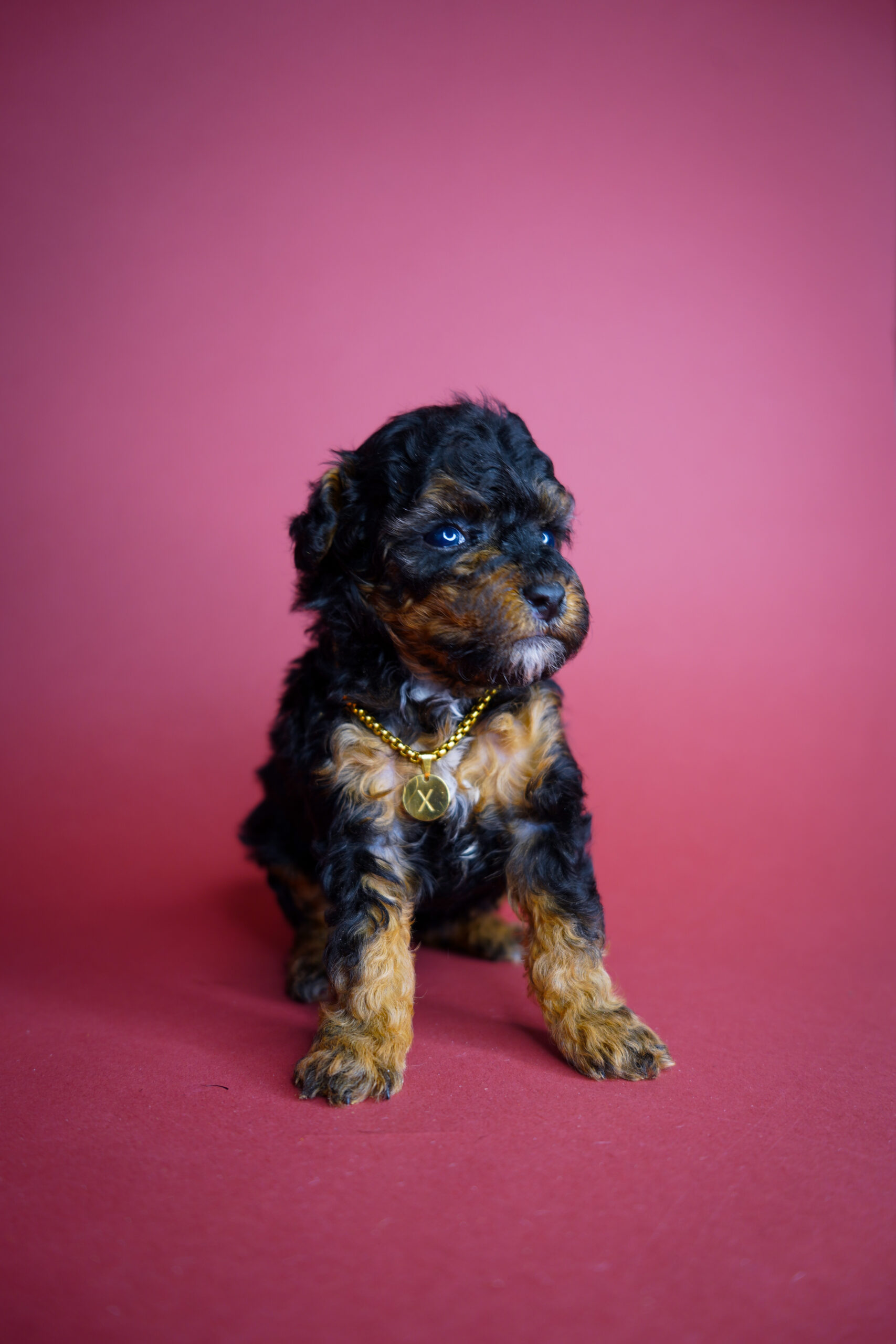 D5ADA6EA-7168-49FC-B51B-7F7FB4171785