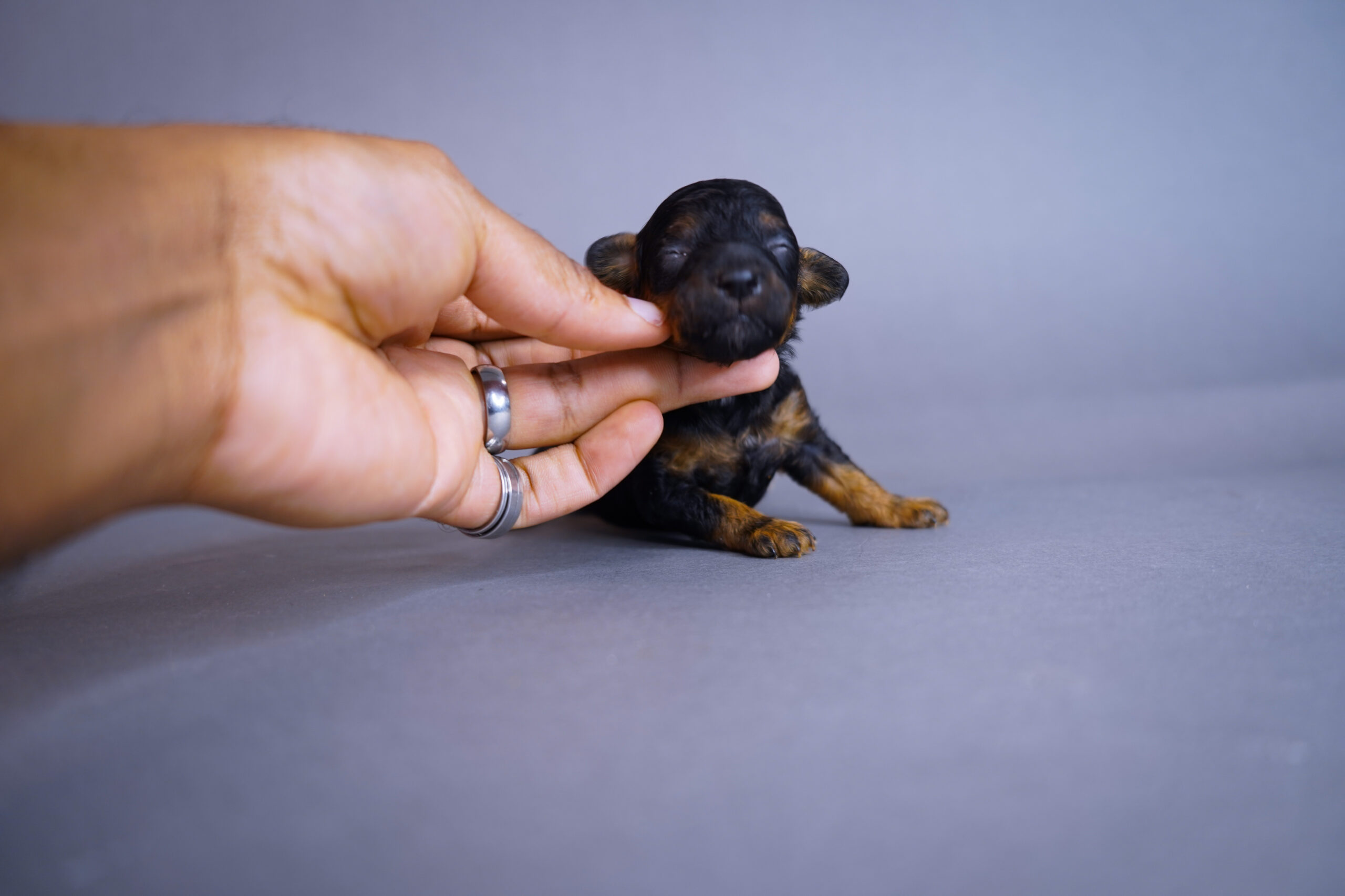 E704A6CF-D6A7-48D1-BC6B-871A1FB6E87C